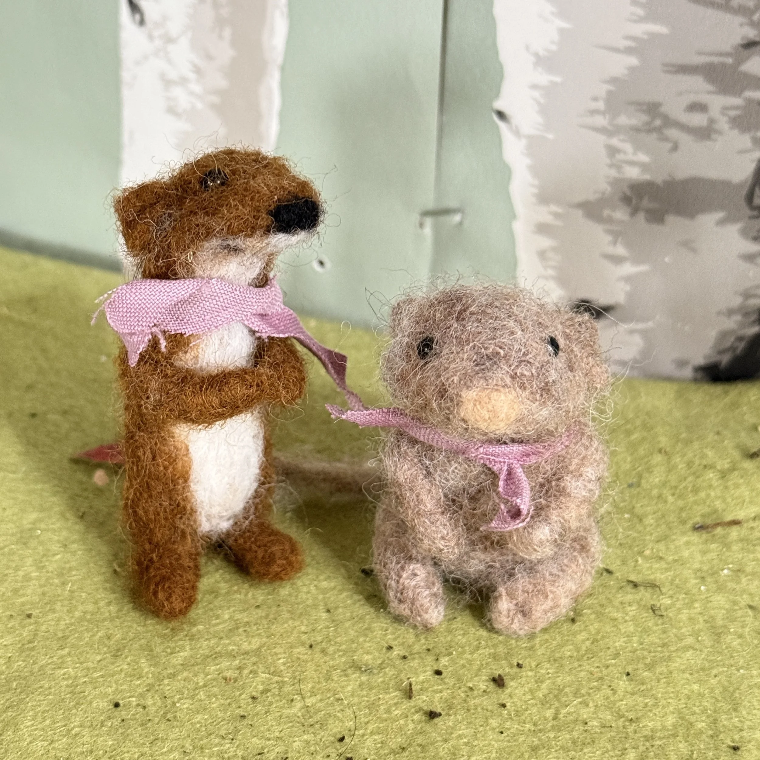 baby weasus and small .jpg