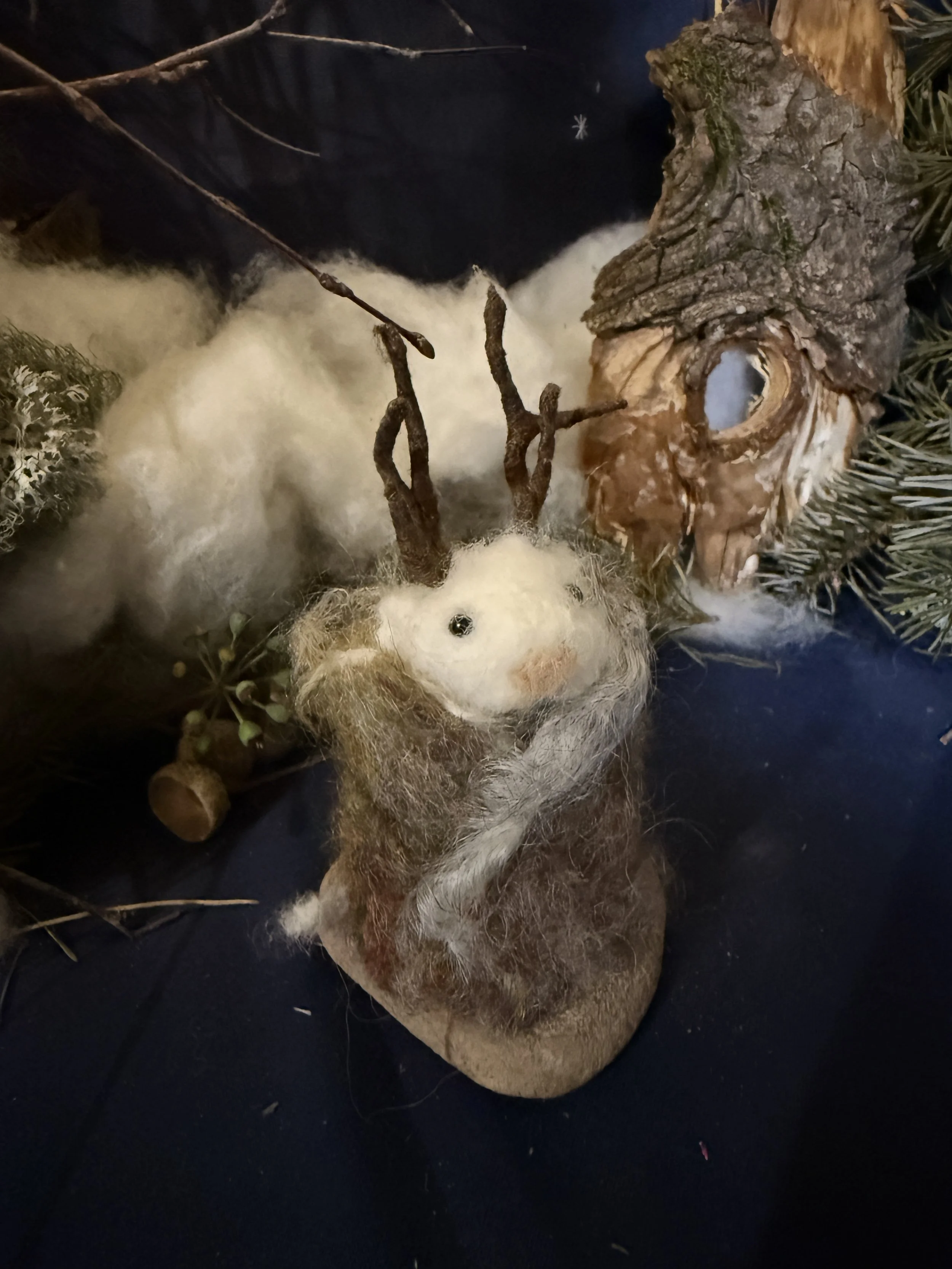 Northland Small in a cloak