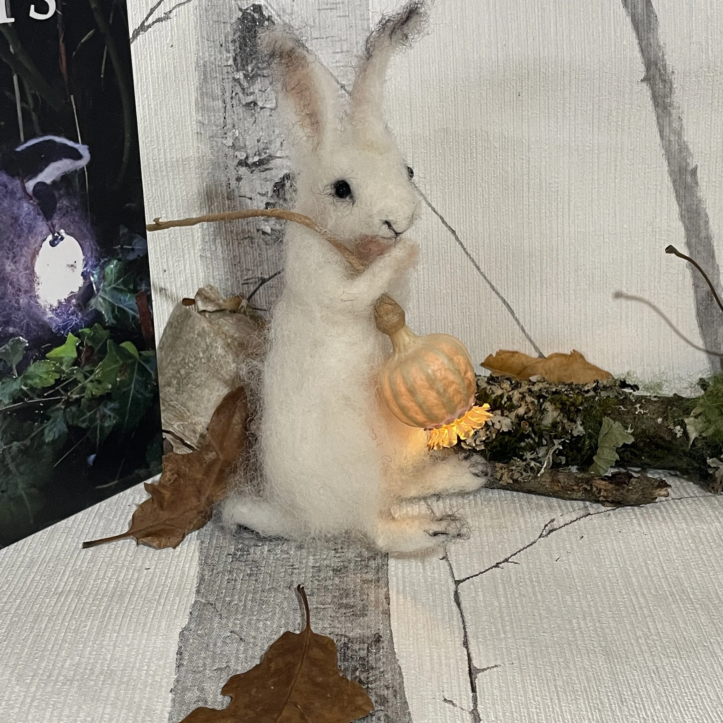 May slot Lightbringer arctic hare for ST