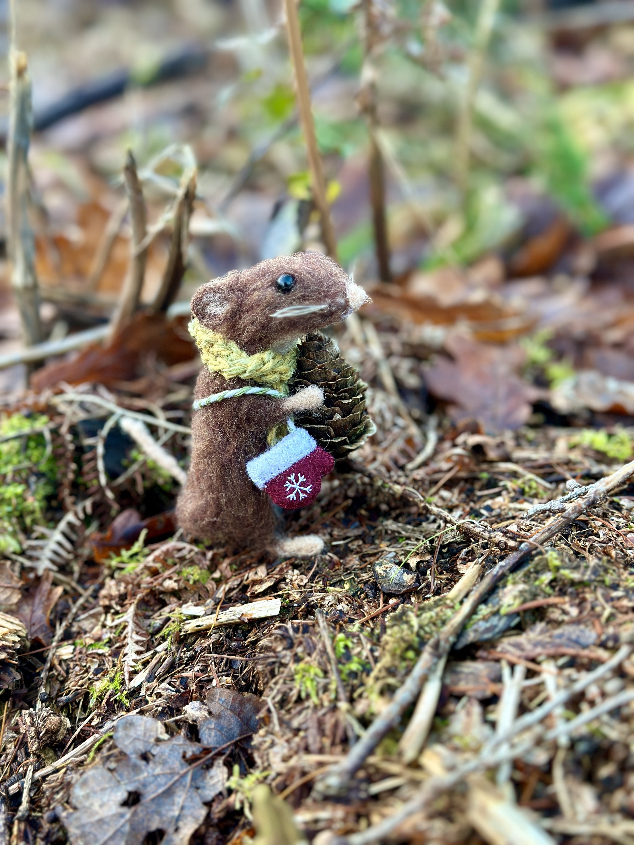 mouse mittens celestine and the hare .jpg