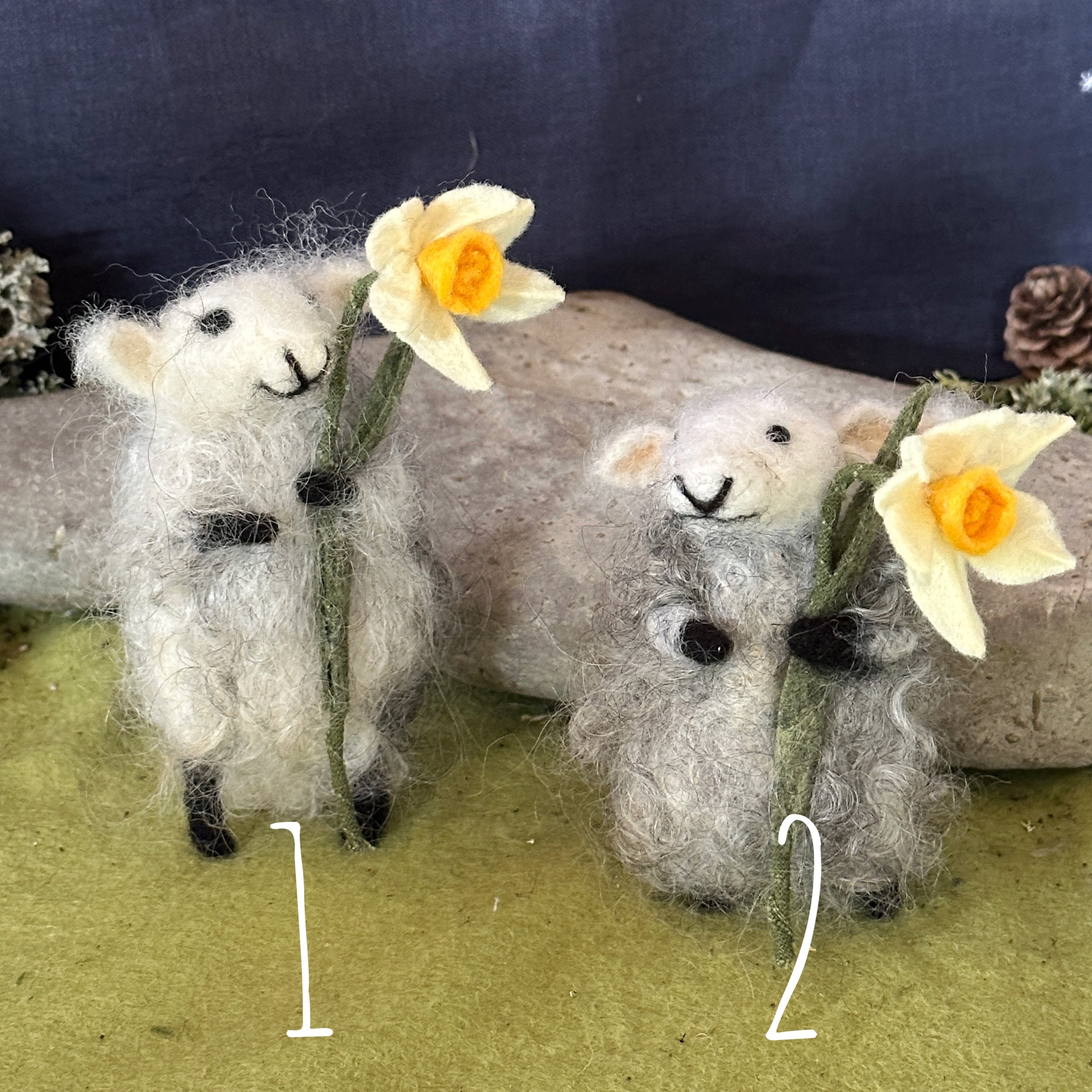 celestine and the hare sheep daffodils .jpg