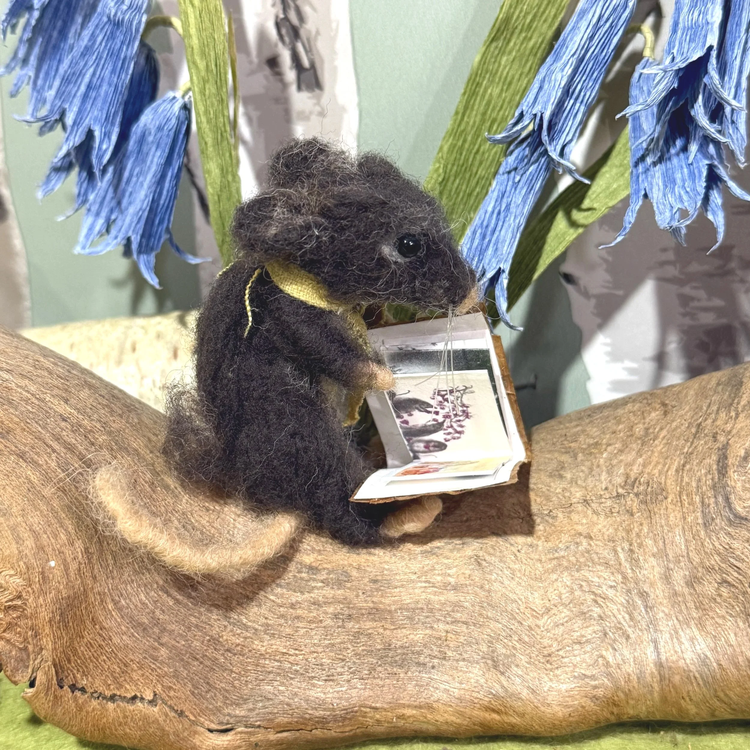Young shrew sitting reading 