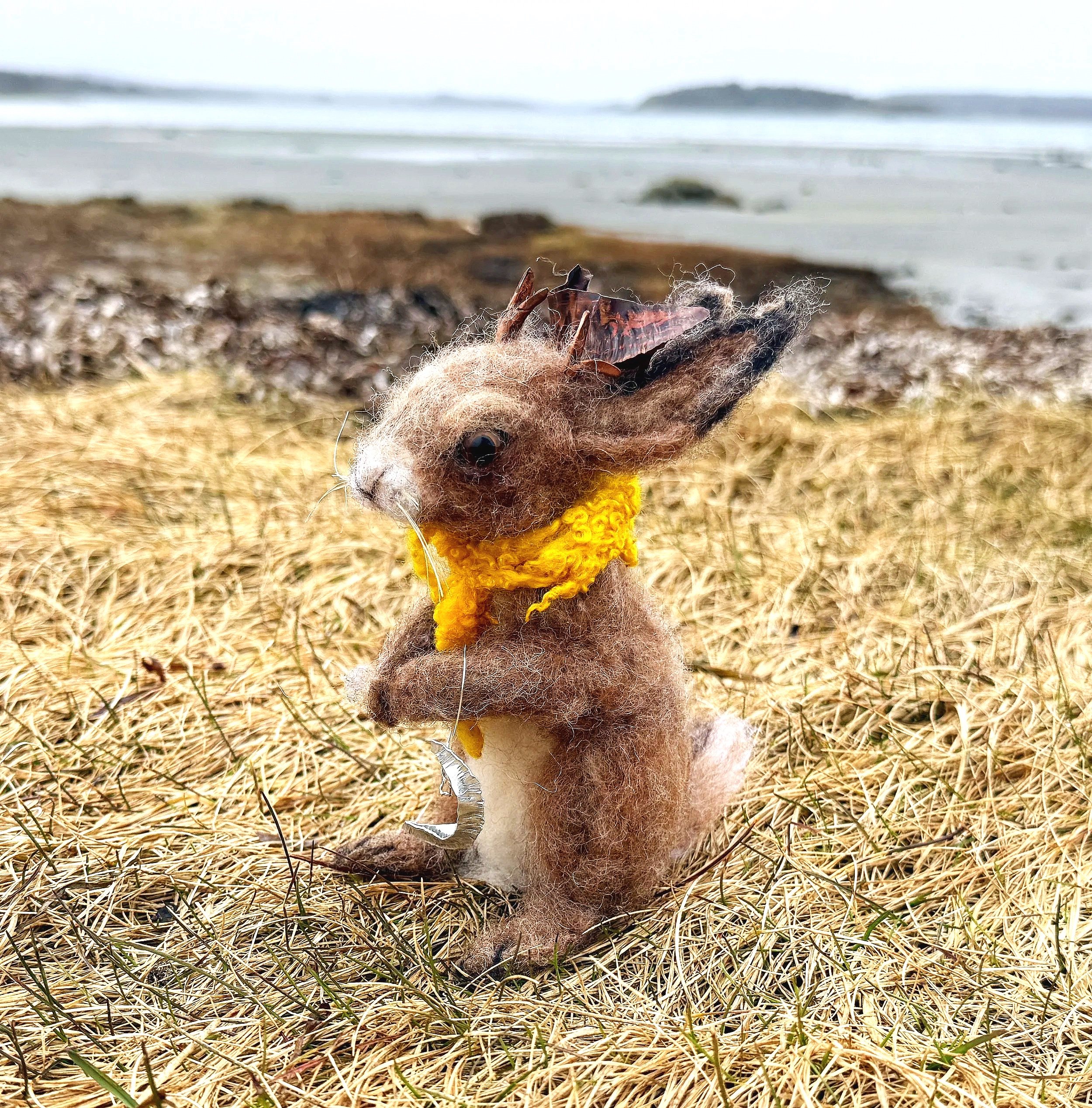 needle+felted+hare+moon+celestine+and+the+hare.jpg