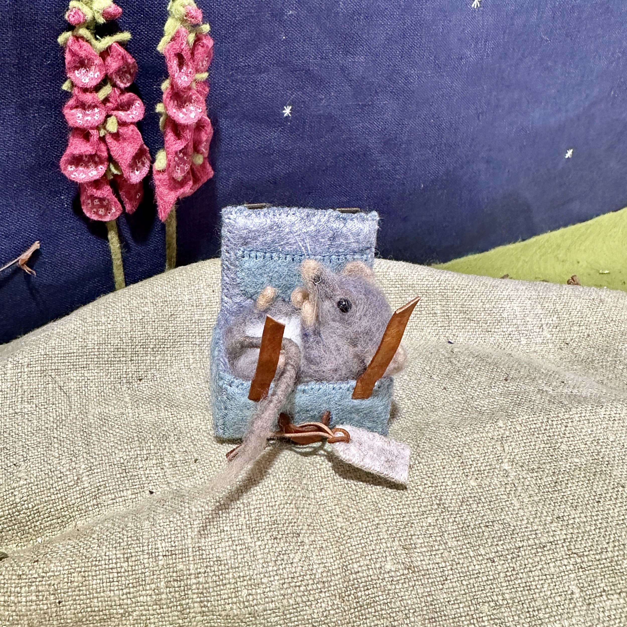 Pygmy Possum