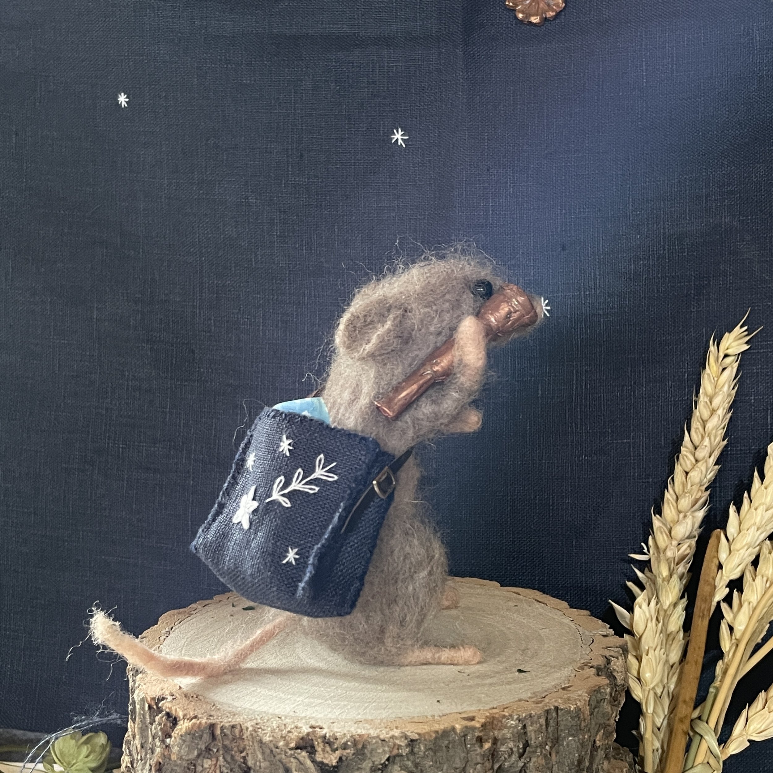 Star Gazing Mouse