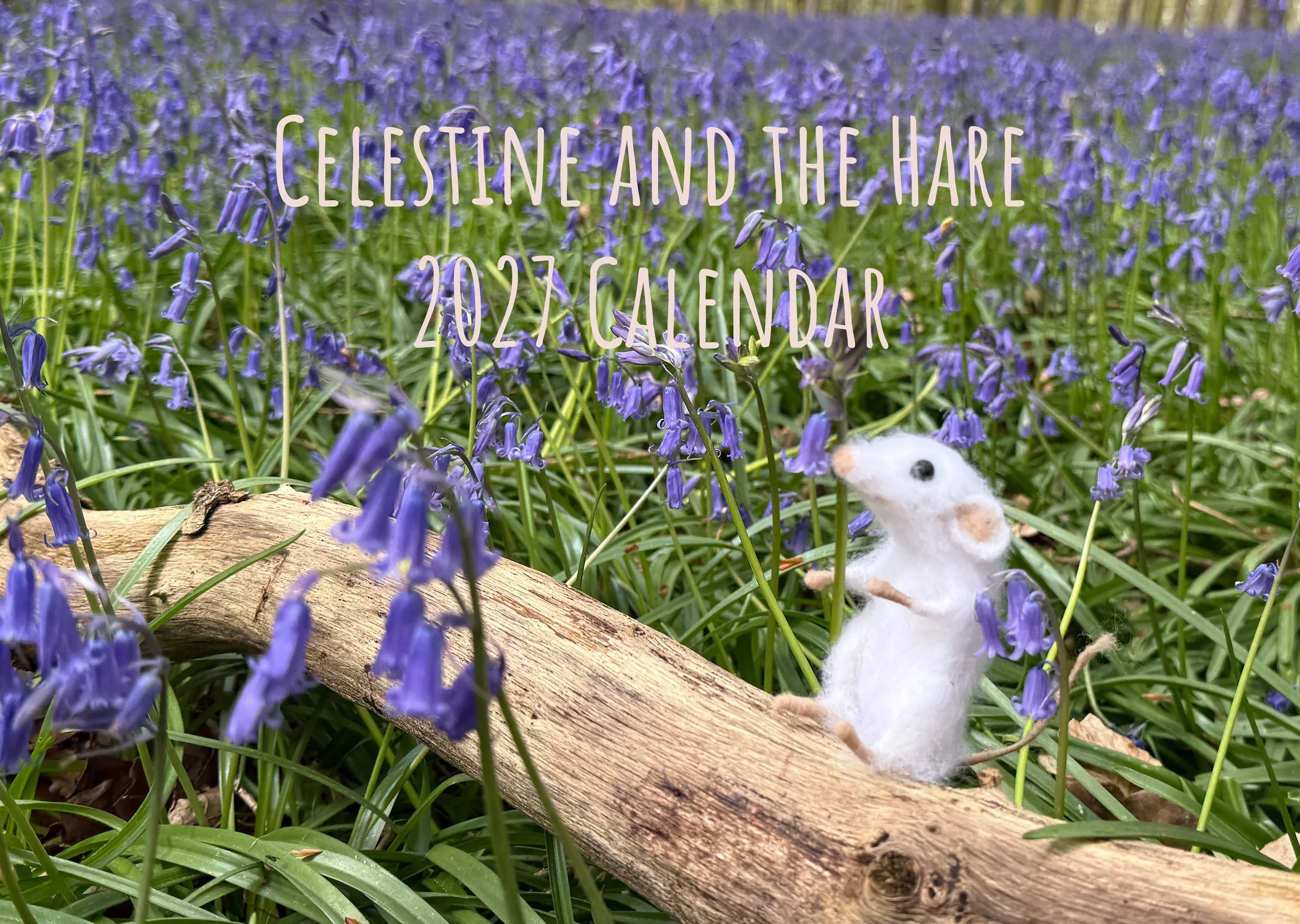 Calendar 2027 Celestine and the Hare