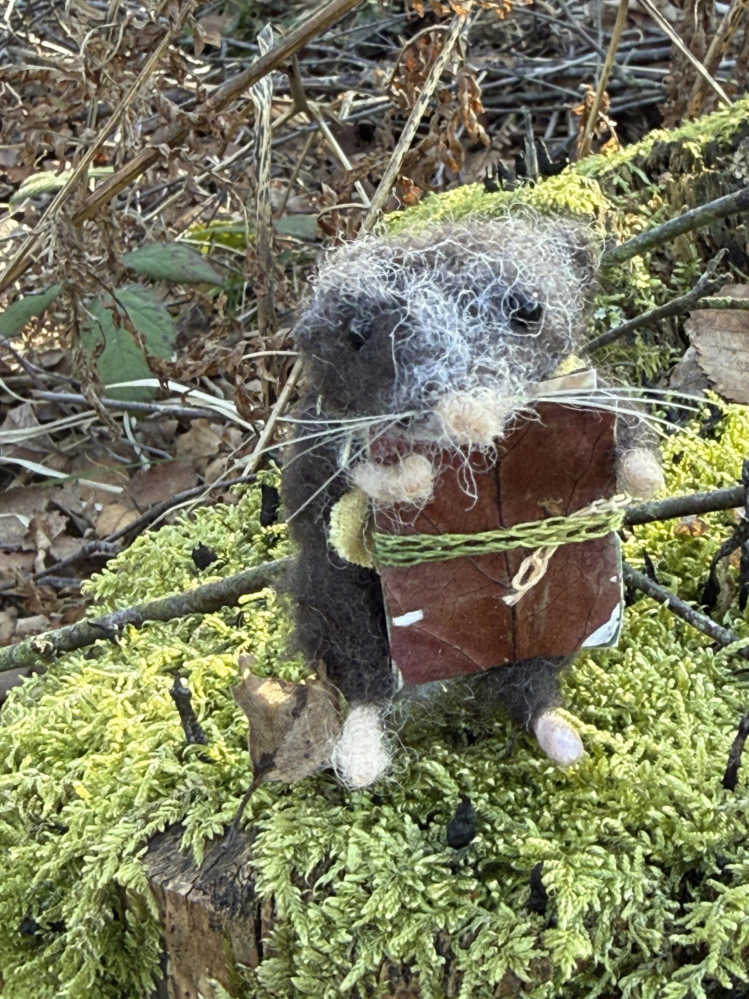 needlefelted animal gift gatherers karin Celestine and the hare_2568.JPG