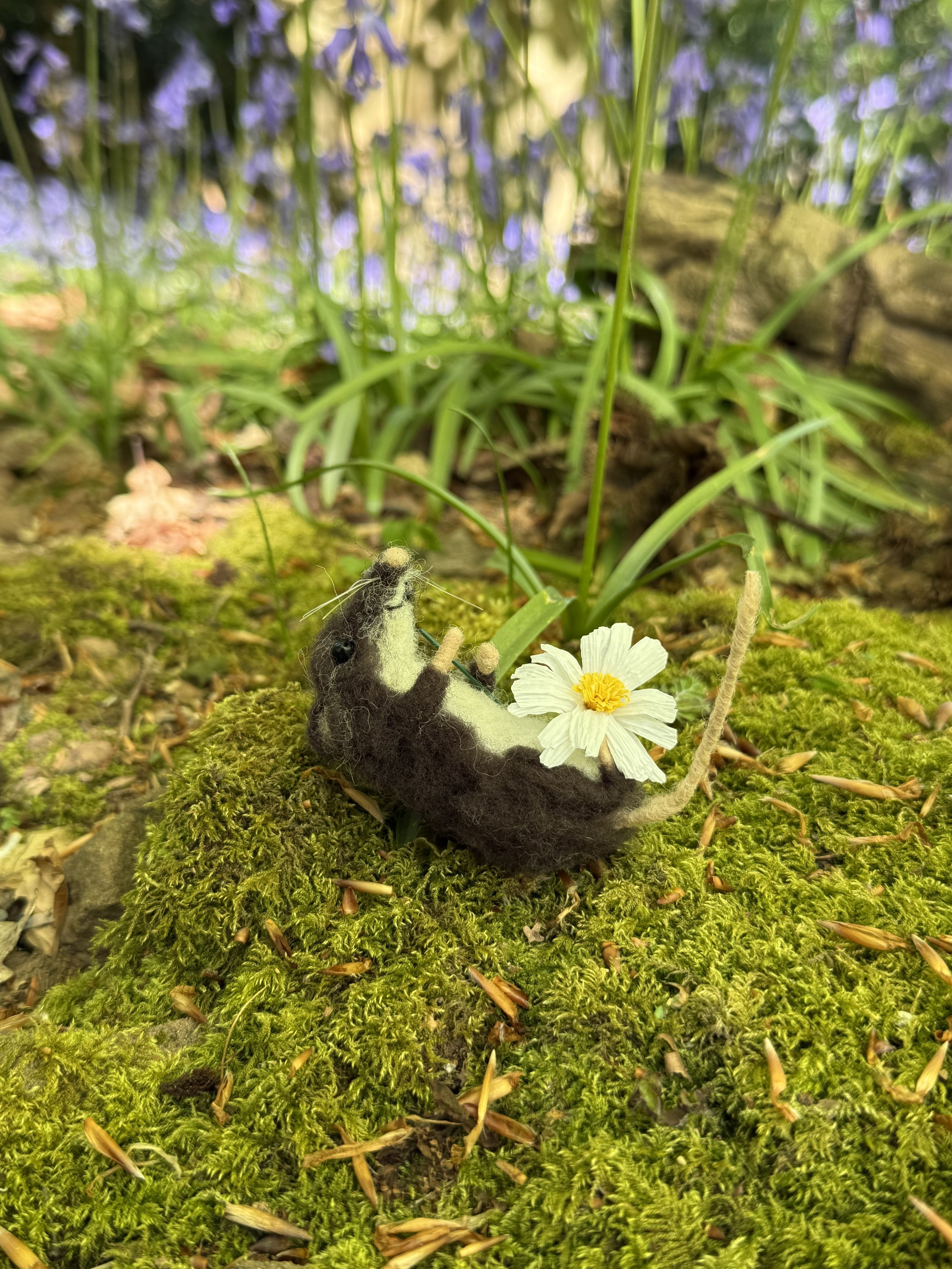 needle felted animal shrew celestine and the hare _3358.JPG