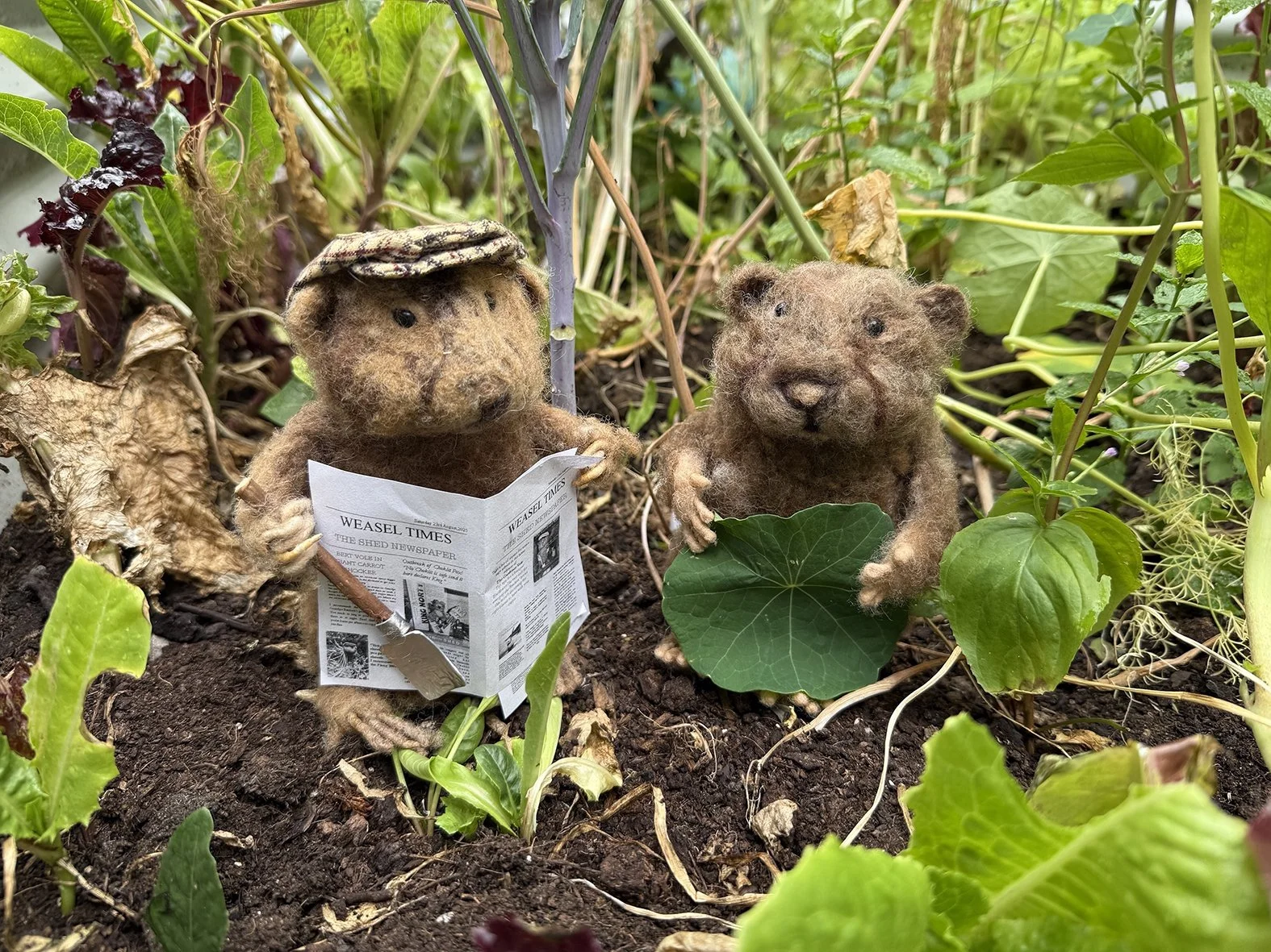 Karin Celestine 6.JPG