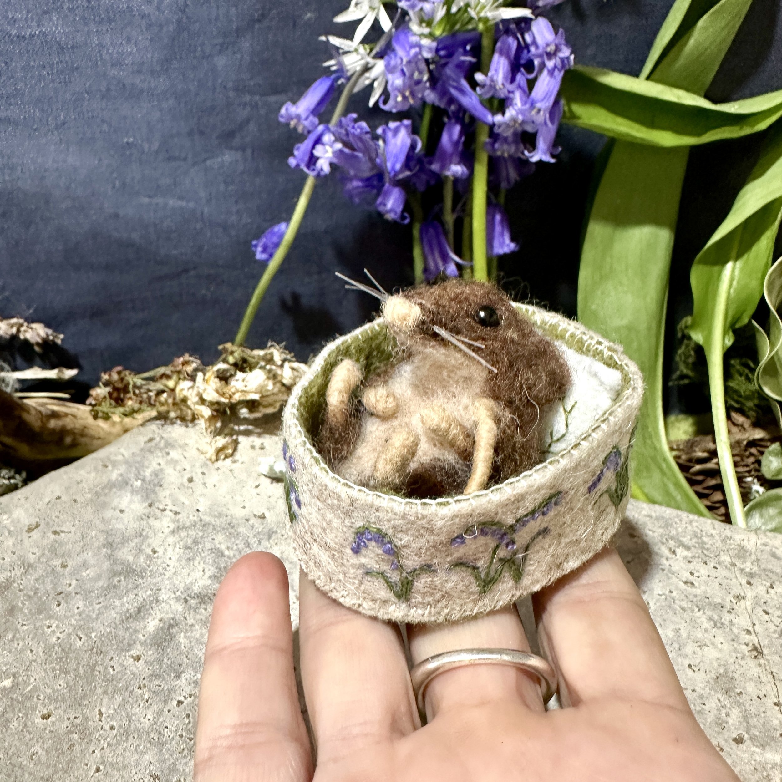 Celestine and the hare bluebells bed tiny mouse.jpg