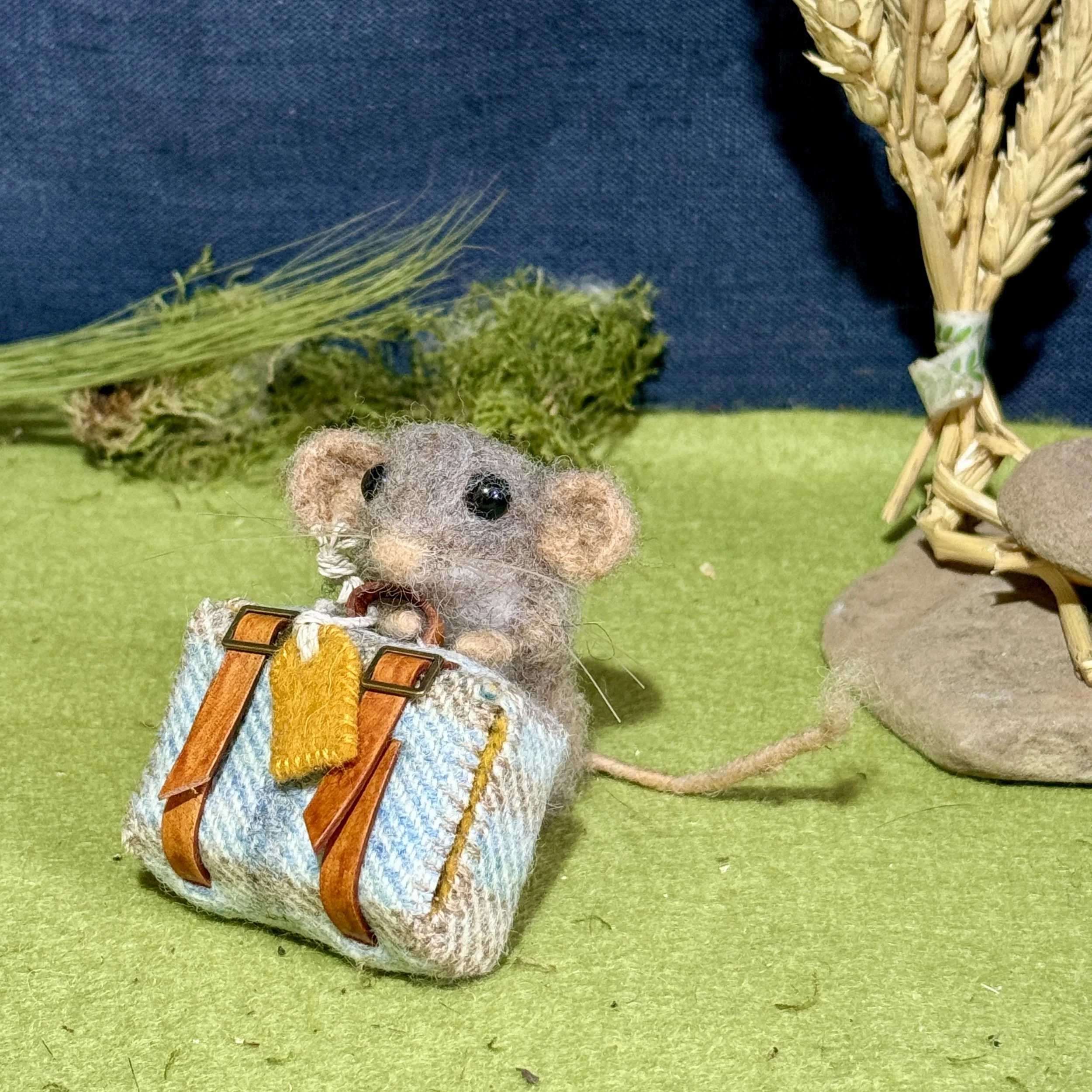 Western pygmy possum approx 5cm tall with a blue checked tweed suitcase nearly as big as them! Super tiny cuteness. £140