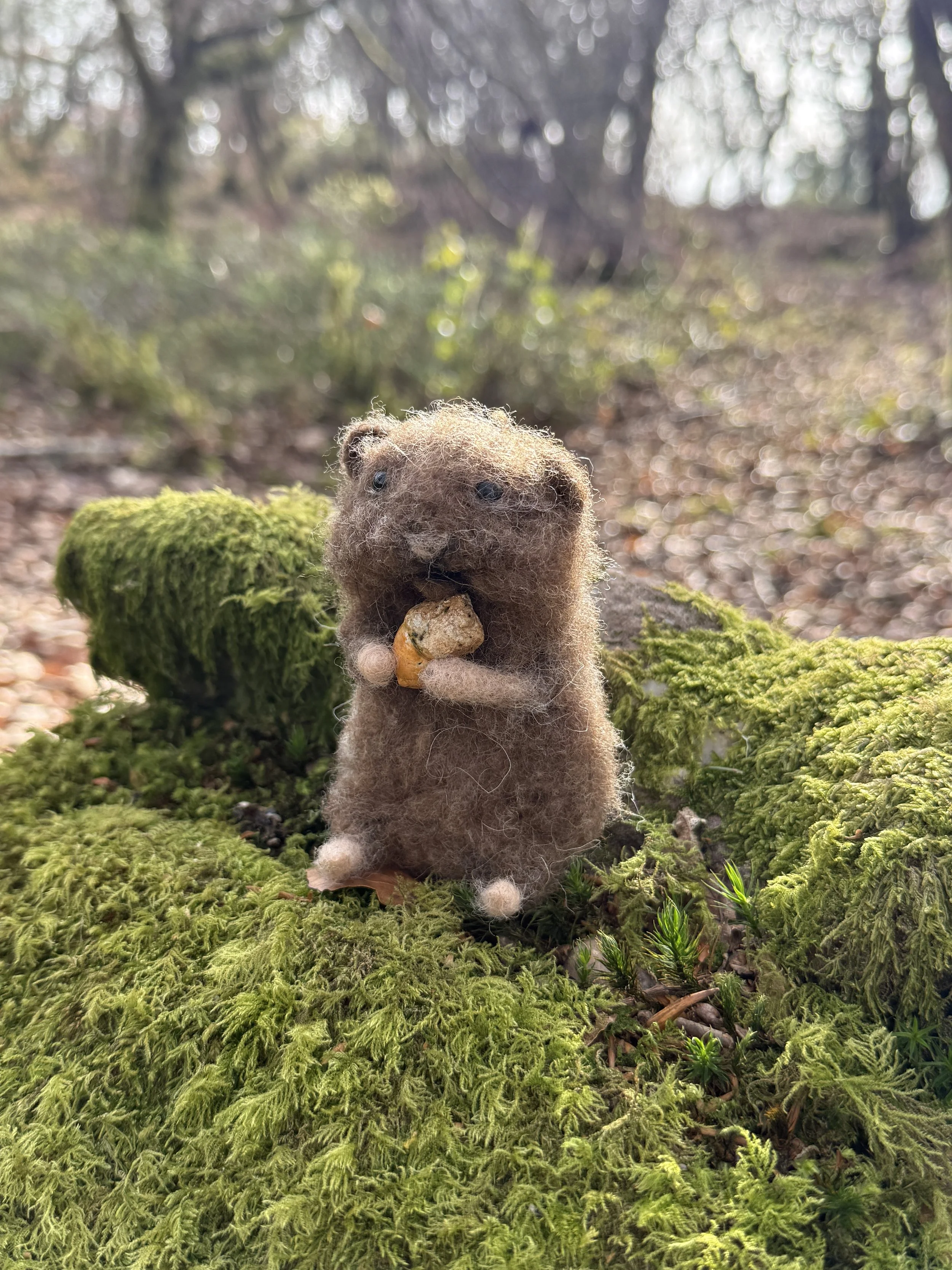 Needle felted animal celestine and the hare _2703.JPG