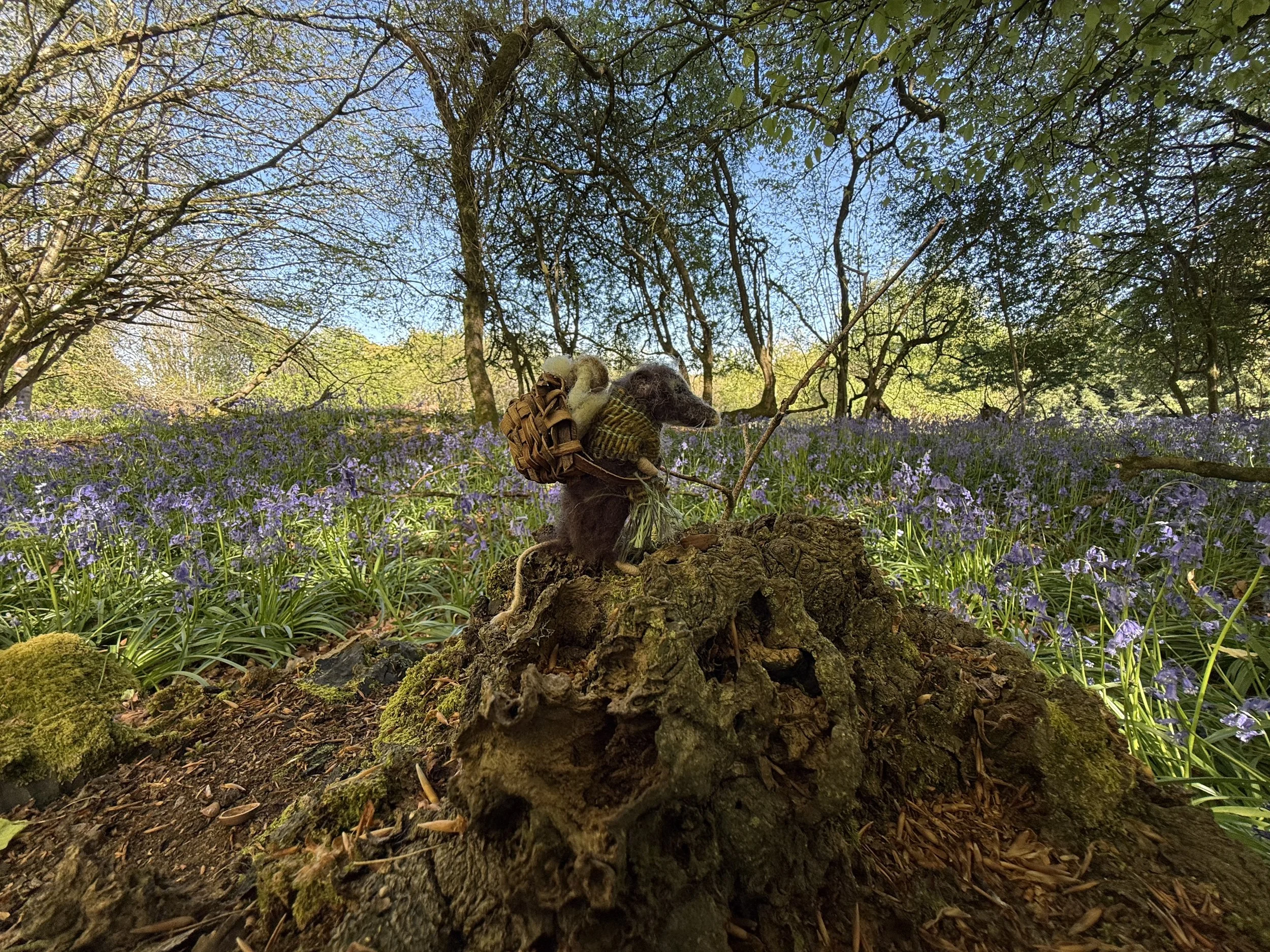 needle felted animal shrew celestine and the hare _3349.JPG