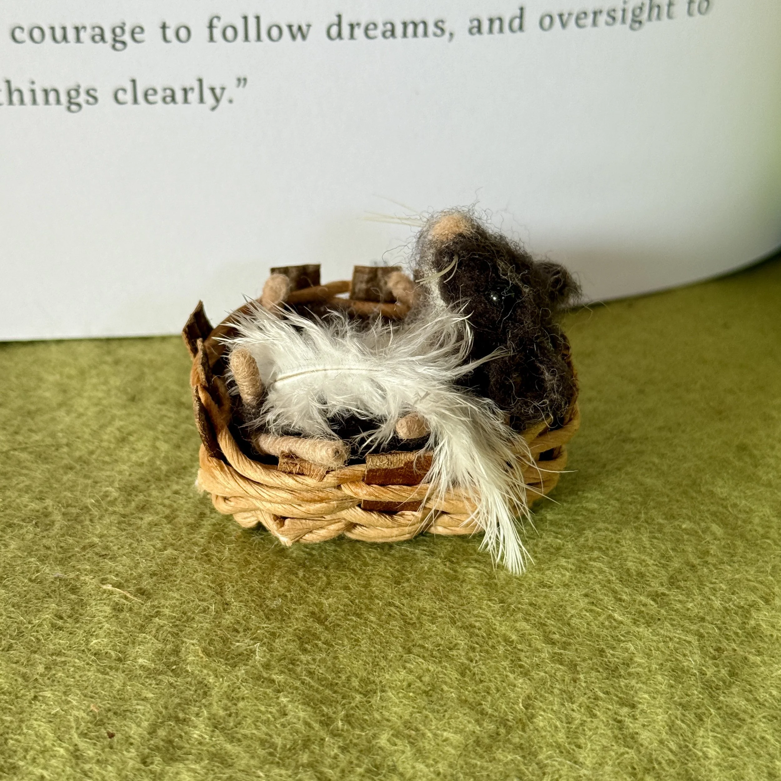 side view of baby in basket 