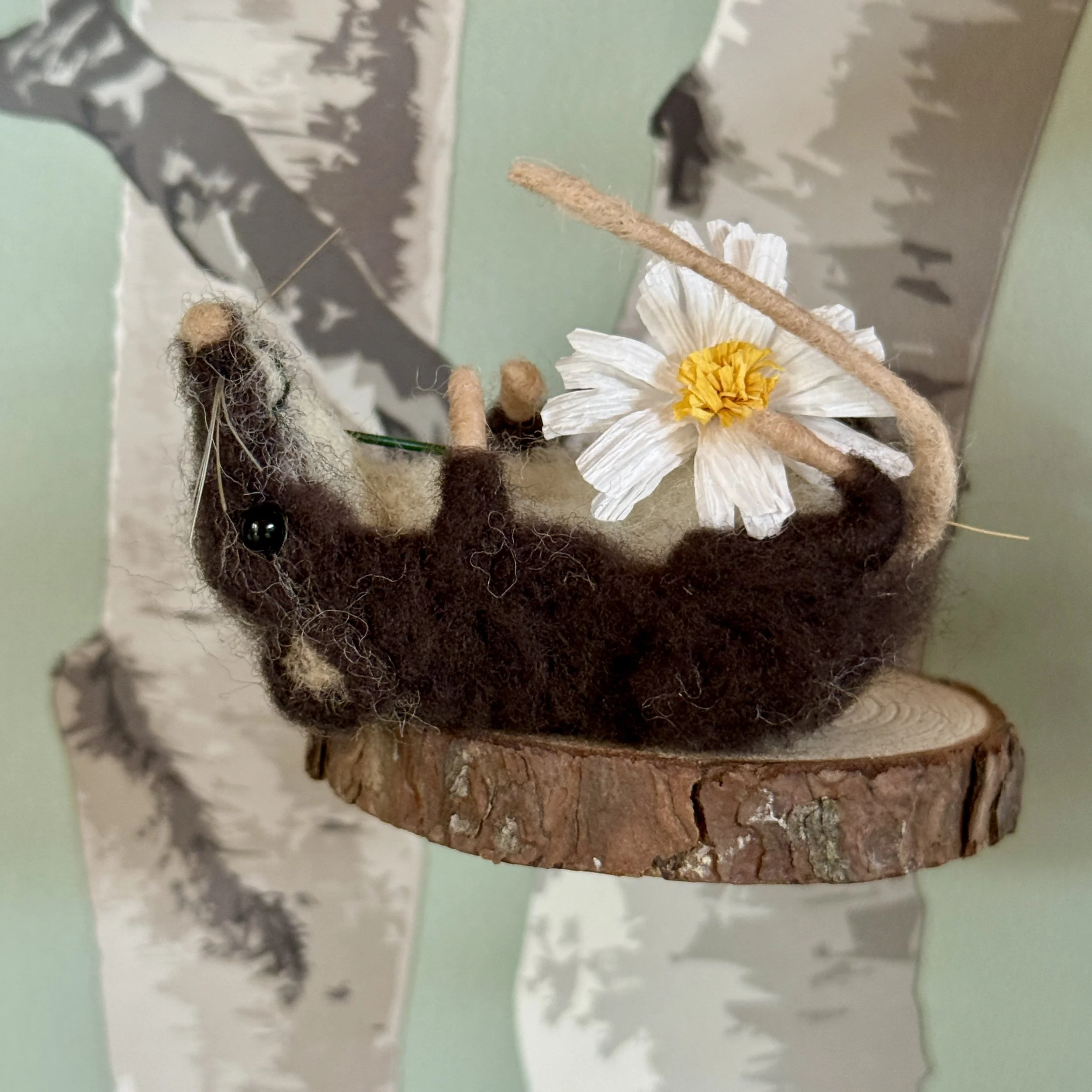 side view of shrew with daisy flower