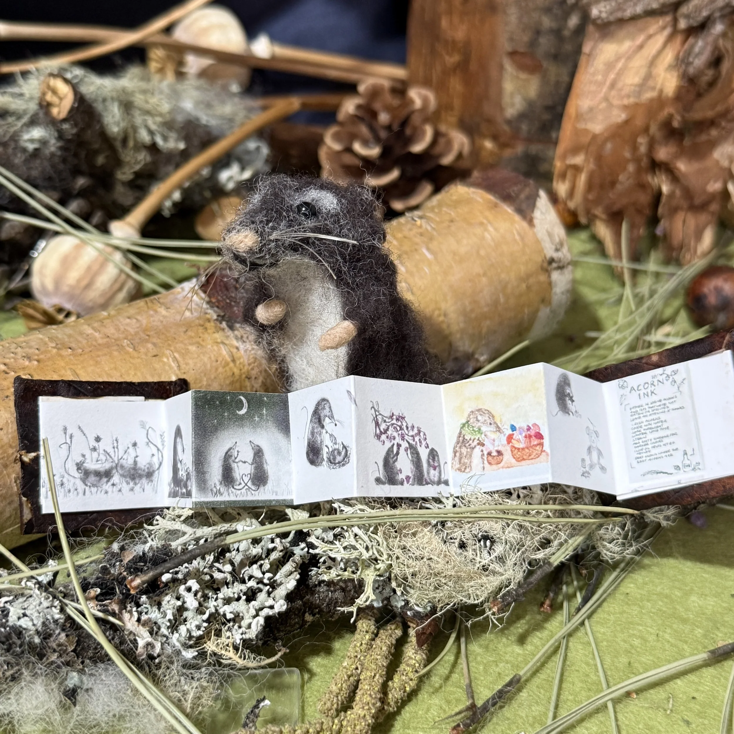 Images inside the Shrew books from the drawings in the Gift Gatherers 