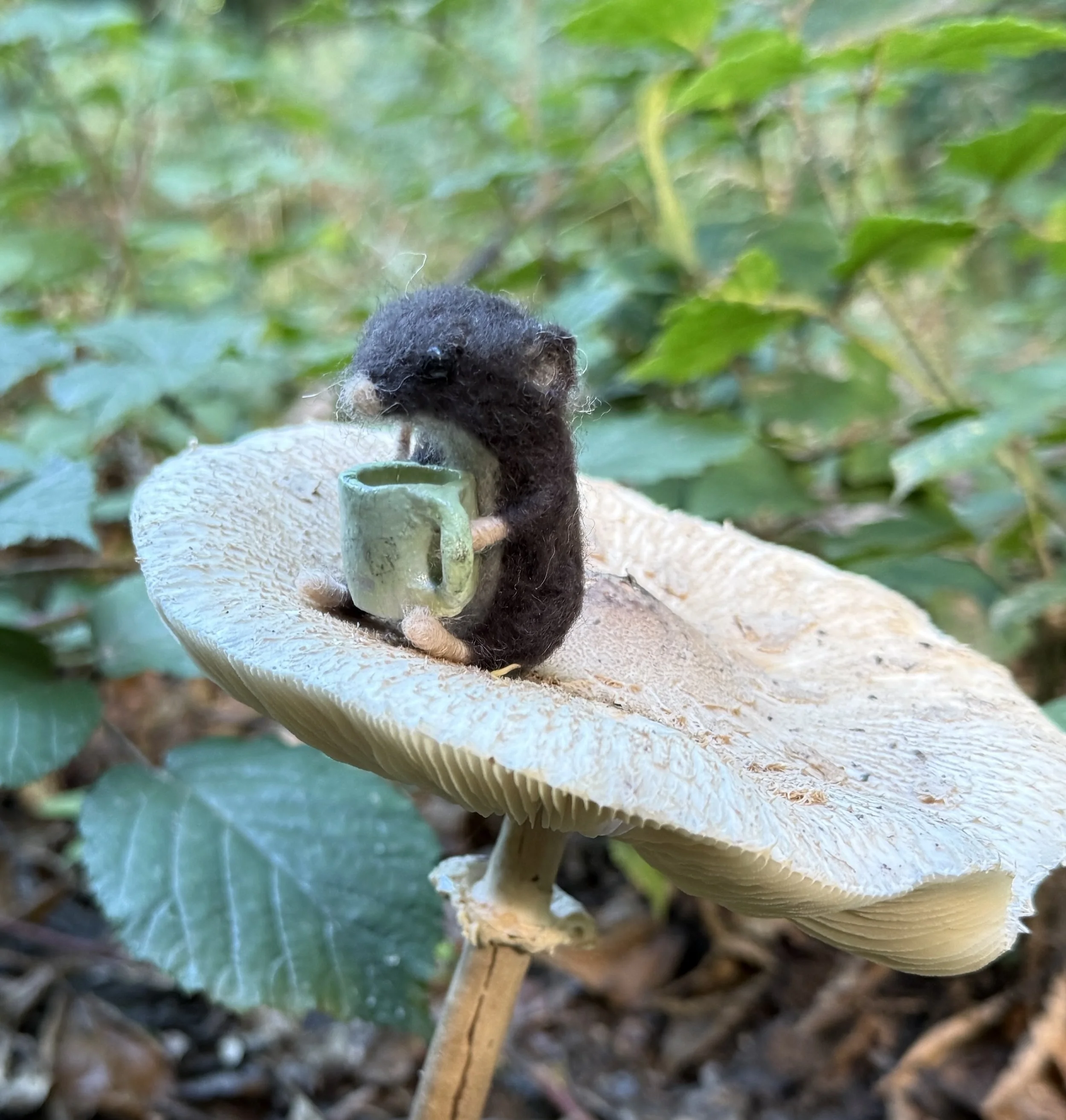 Karin Celestine 3.jpg