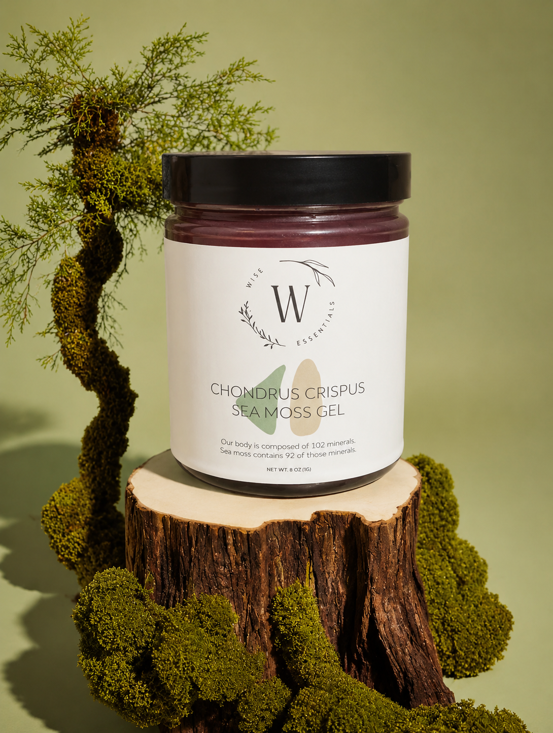 Chondrus Crispus (Irish Moss) Gel