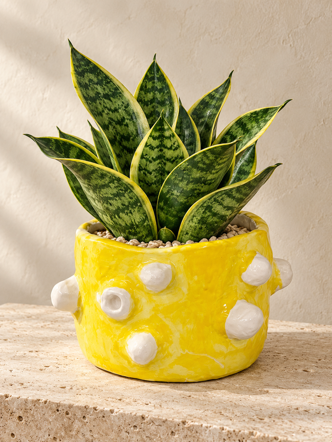 YELLOW GROWTH