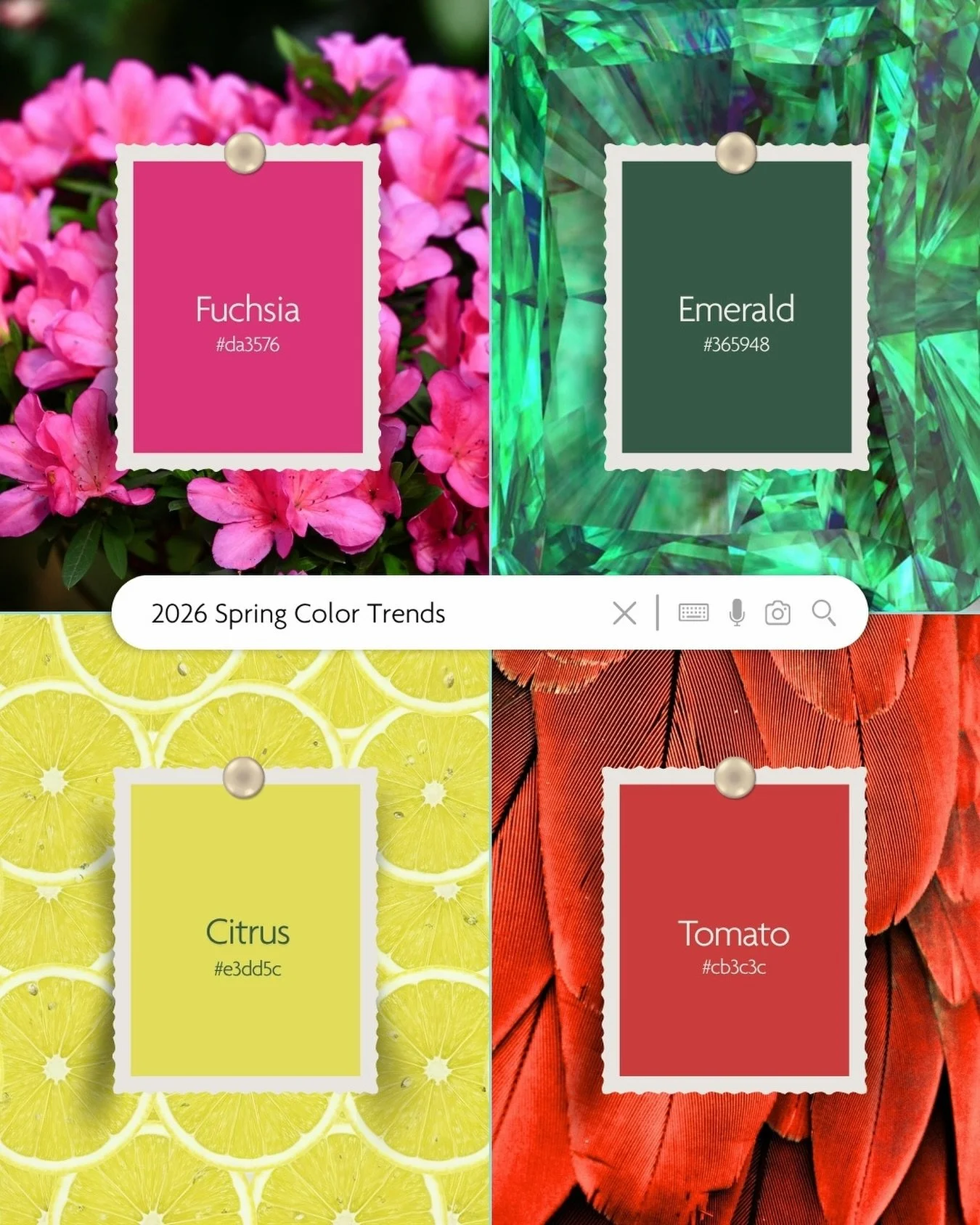 First day of spring and loving these bright, punchy hues! (&ldquo;Citrus&rdquo; seemed like a nicer way to say &ldquo;Pollen&rdquo;... IYKYK)

Comment below which color you&rsquo;re most excited for this season! 🩷💚💛❤️

#haleywooddesign #branddesig