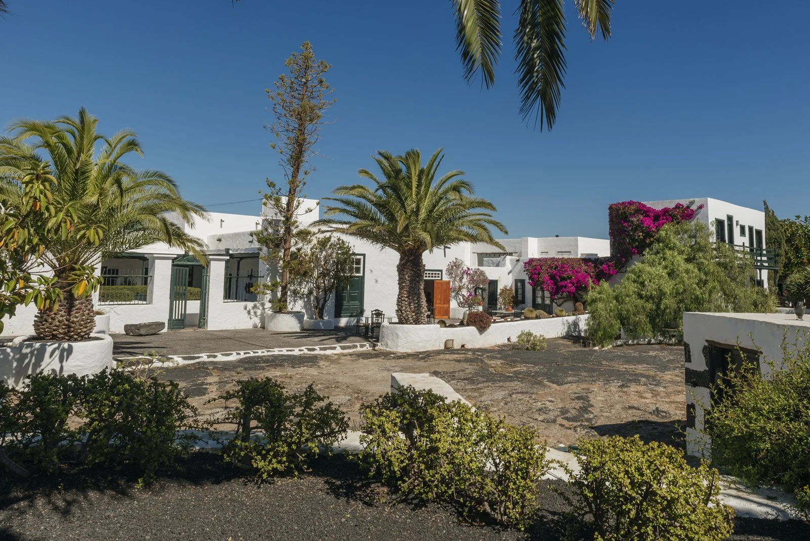 El Grifo&nbsp;Hotel, el destino enoturístico&nbsp;que conecta con&nbsp;la autenticidad de&nbsp;Lanzarote, presenta El Patio Gastro&nbsp;Bar