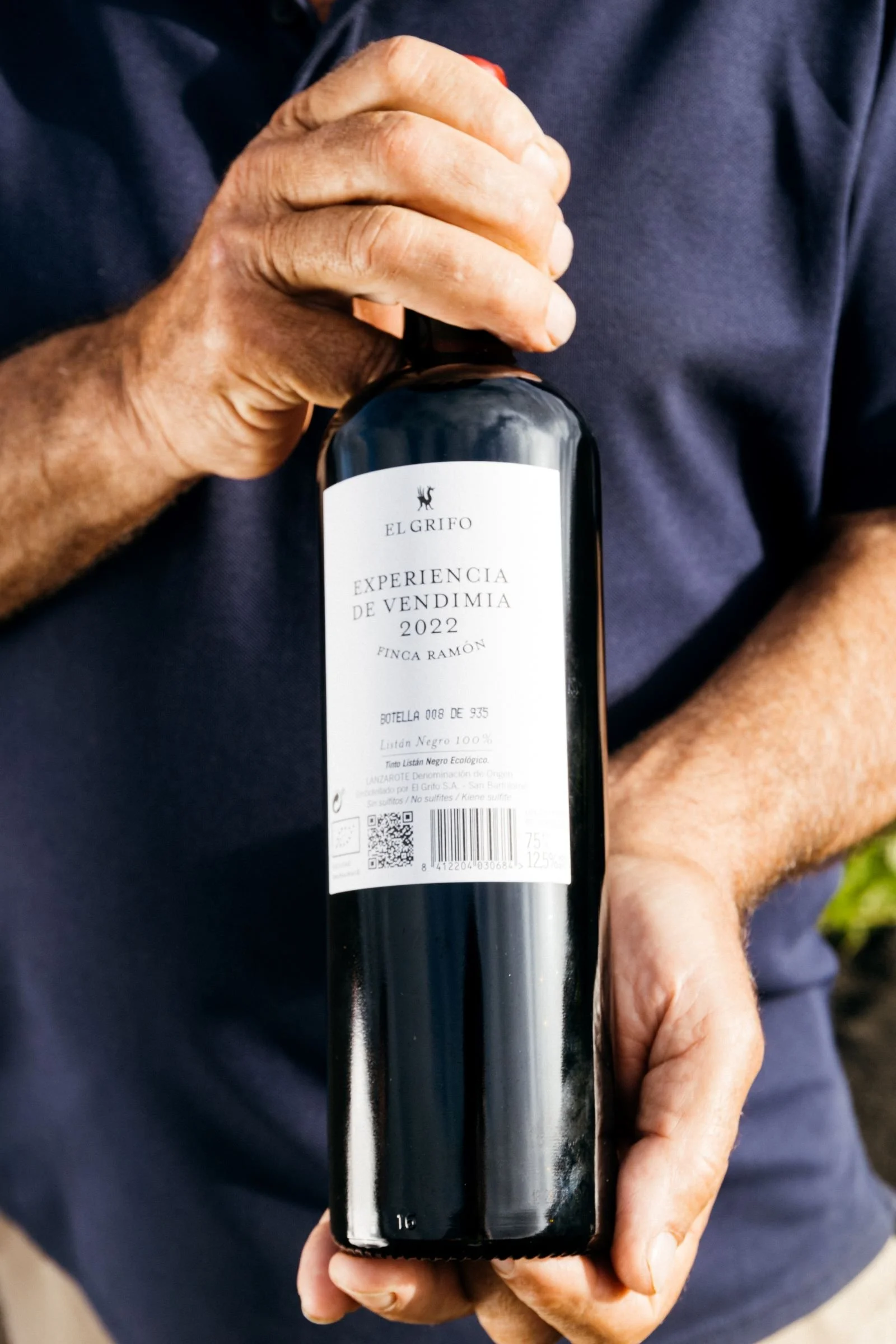 Finca Ramón o cómo EL GRIFO avanza en la reconversión en ecológico de su viñedo y el de sus viticultores