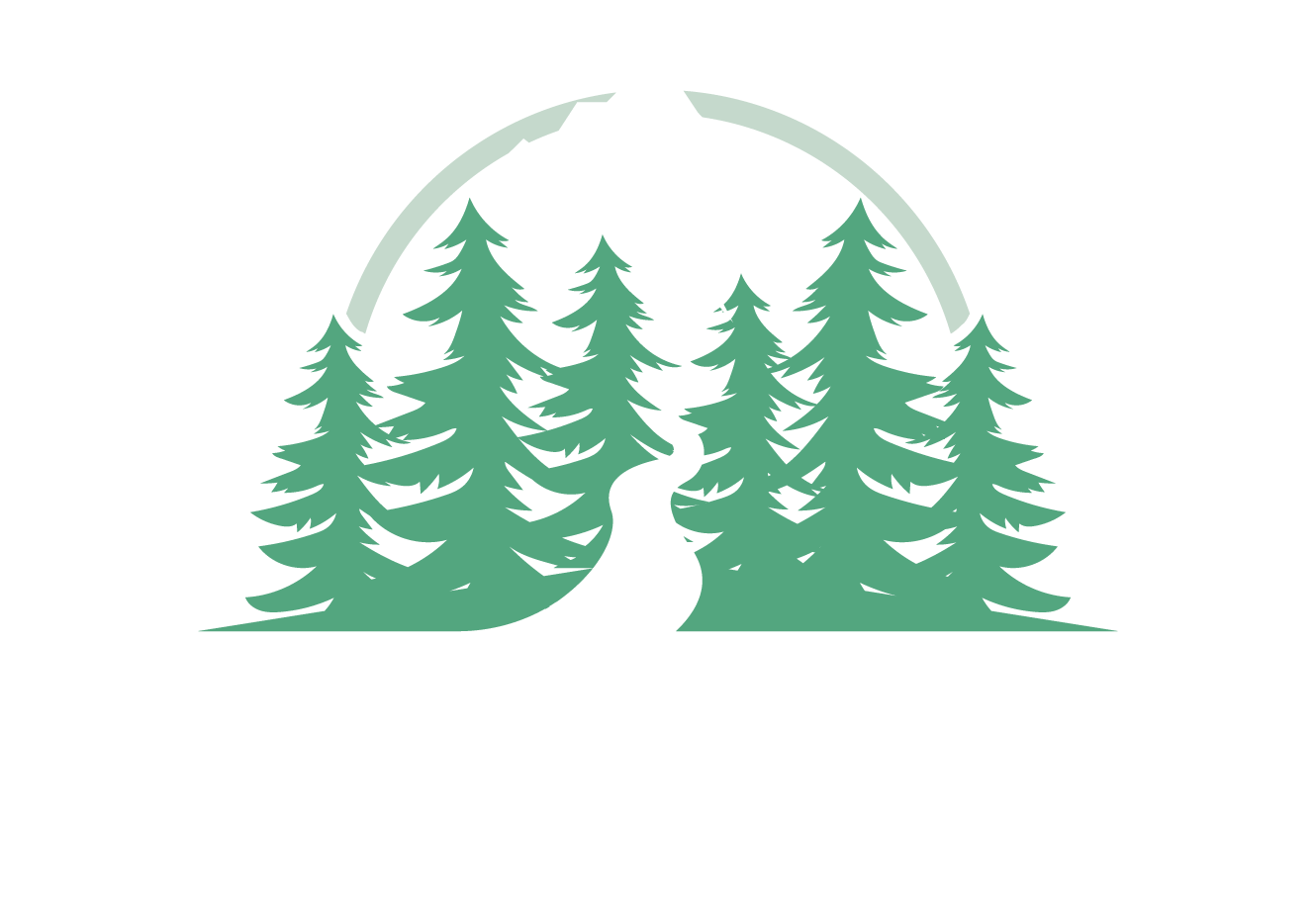 North Star Therapy