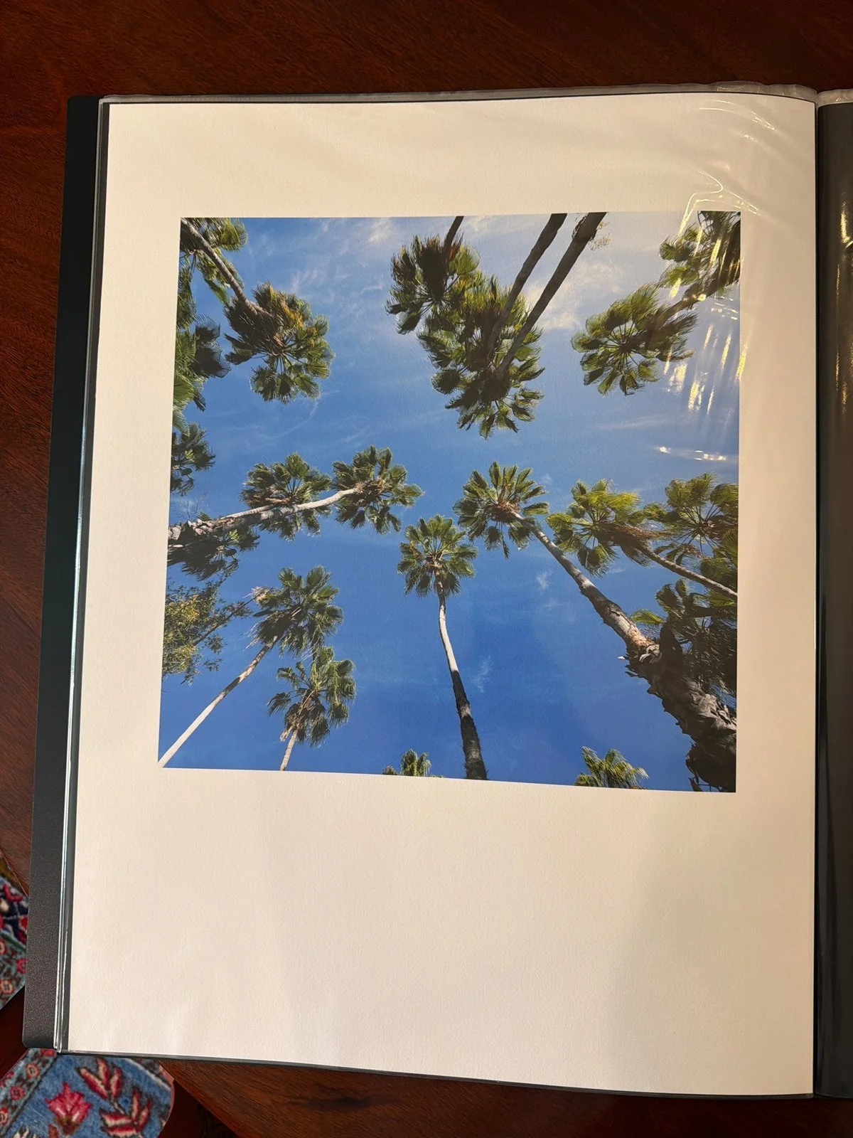11-palms-against-the-sky-2-print.jpg