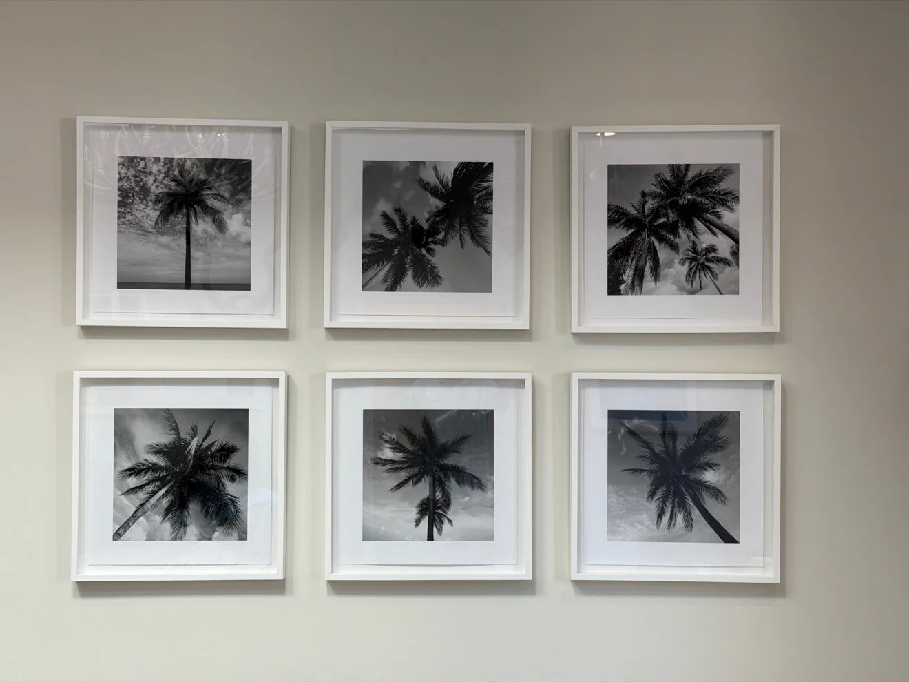 Palm Silhouettes — Set of Six Framed Prints