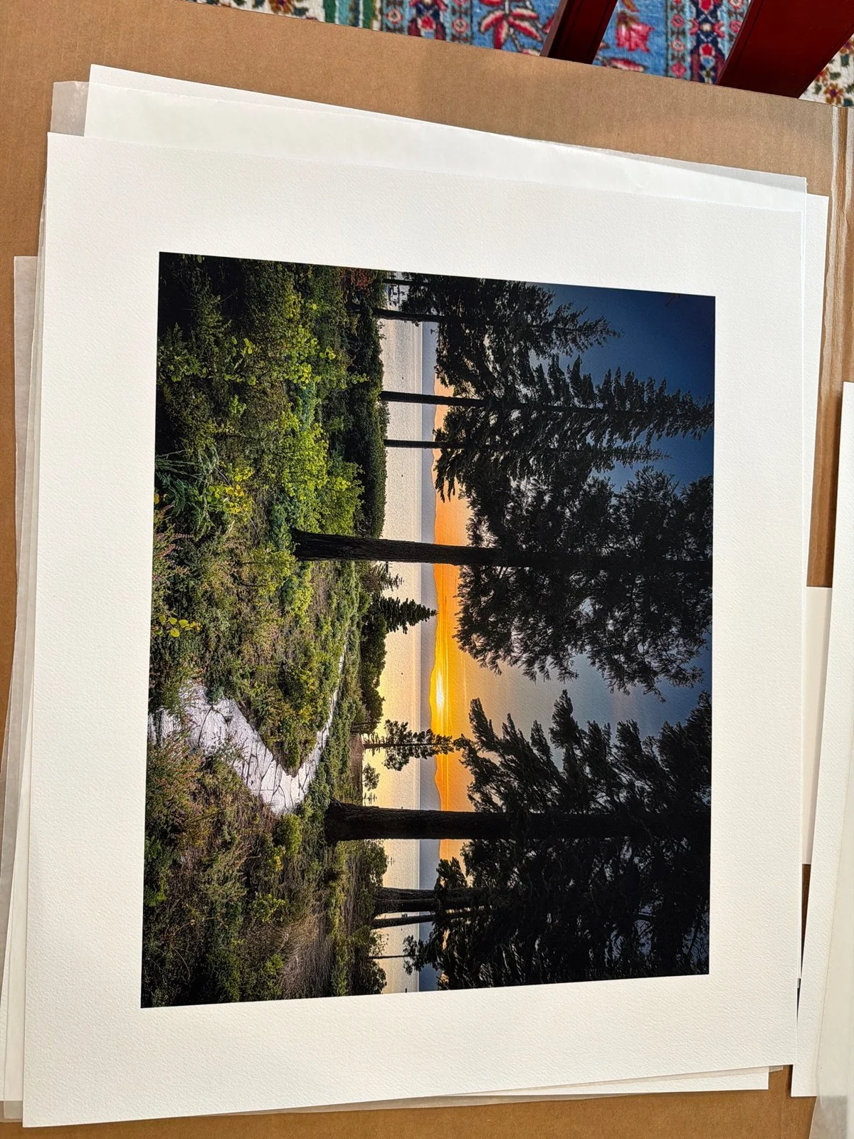 25-sunset-through-pines-2-print.jpg