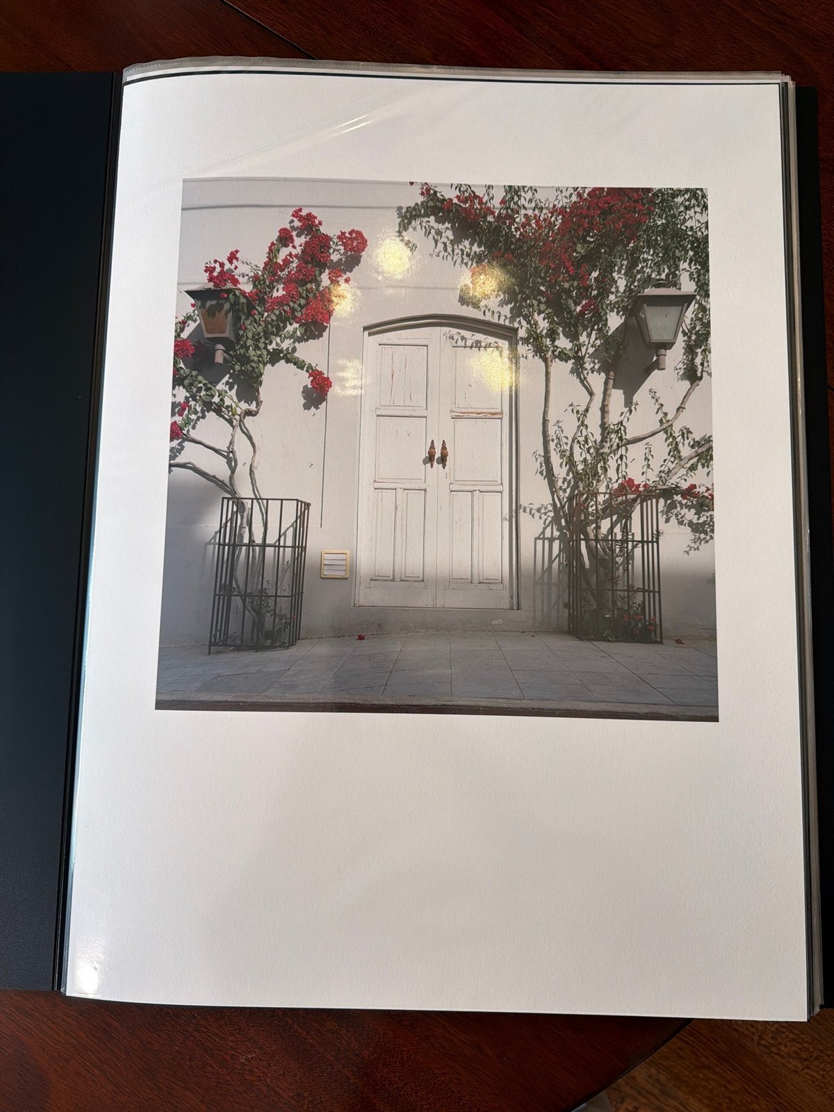 02-white-door-bougainvillea-2-print.jpg