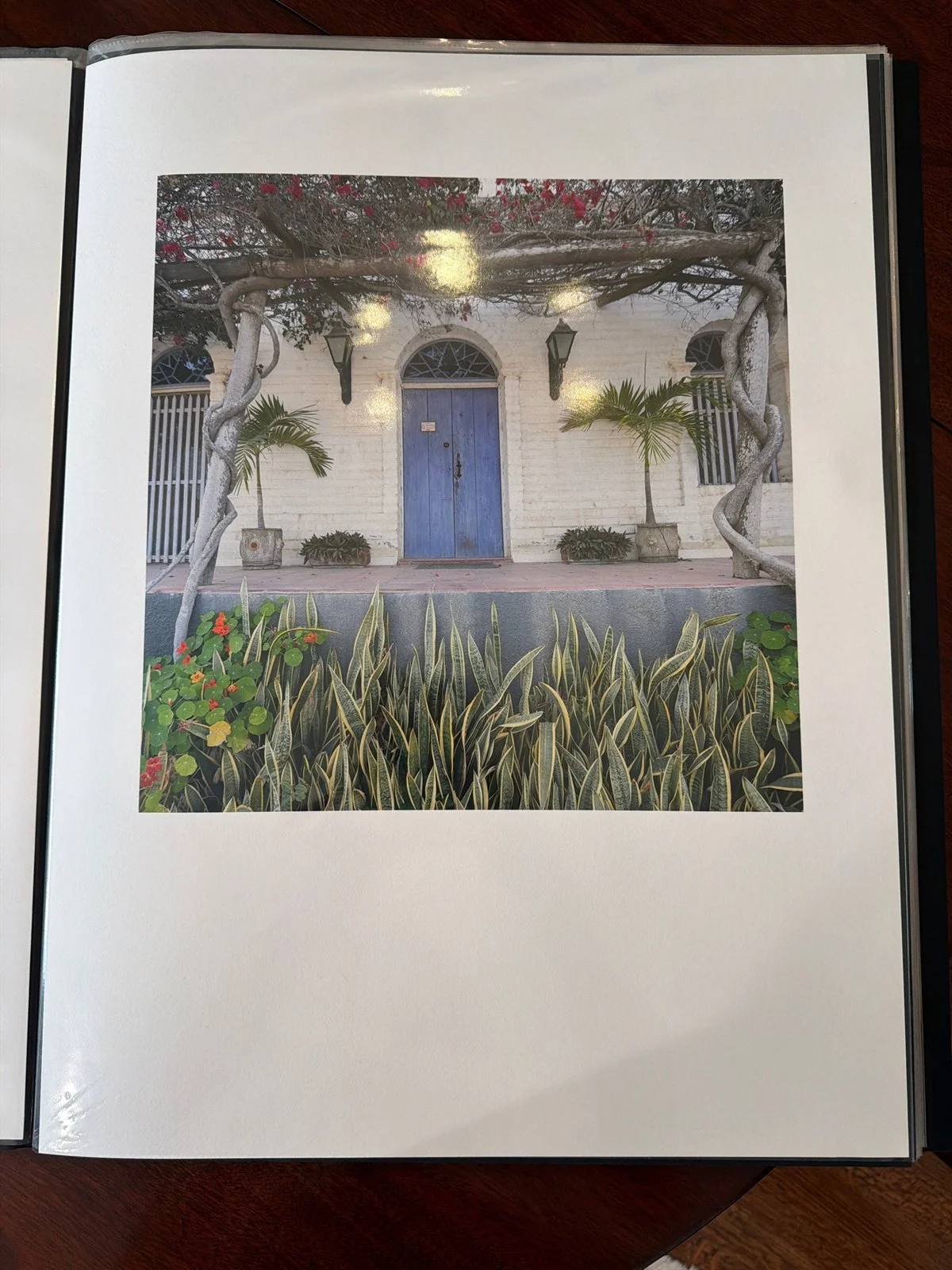 05-blue-door-vine-pergola-2-print.jpg