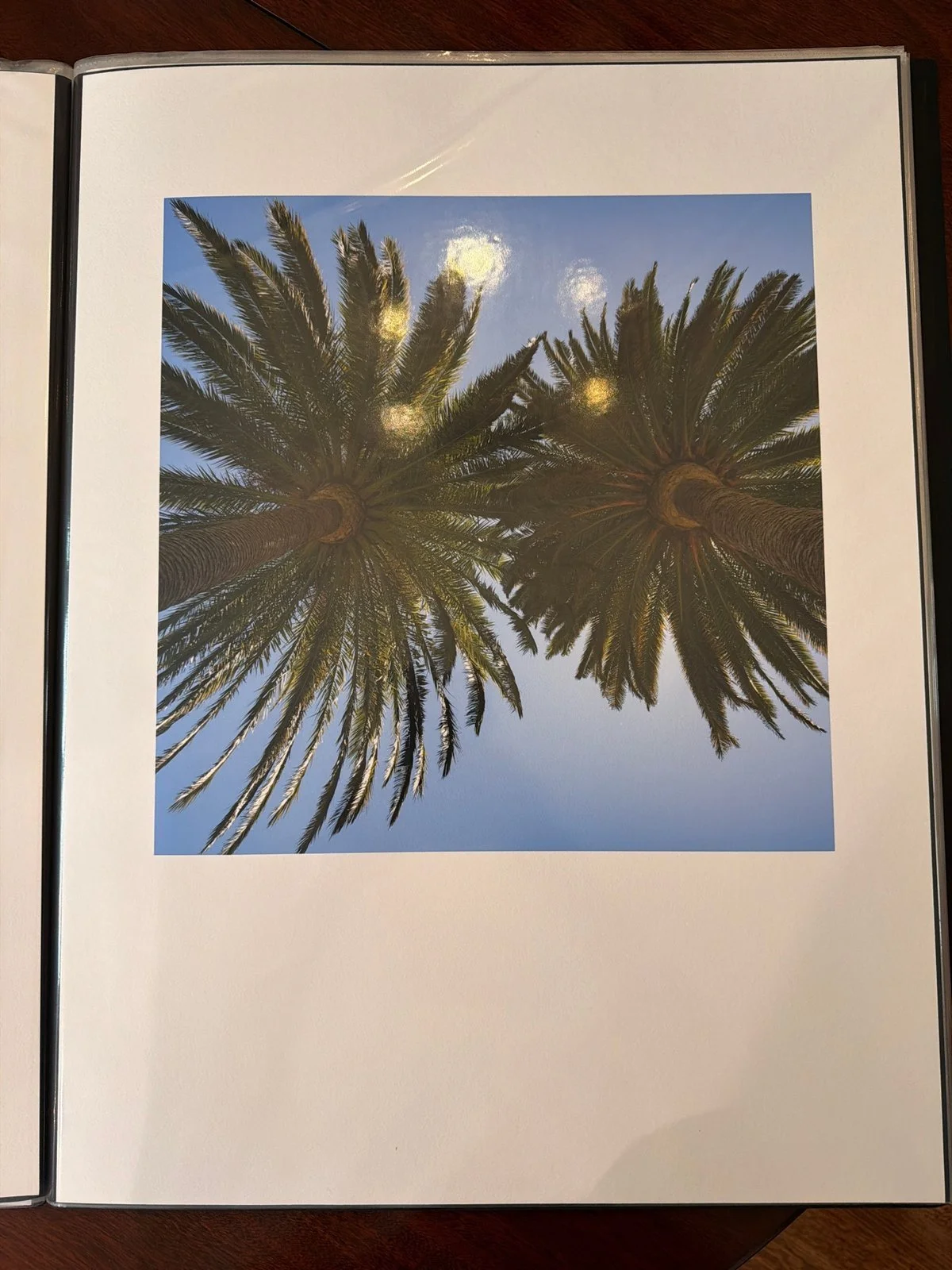 08-two-palms-from-below-2-print.jpg