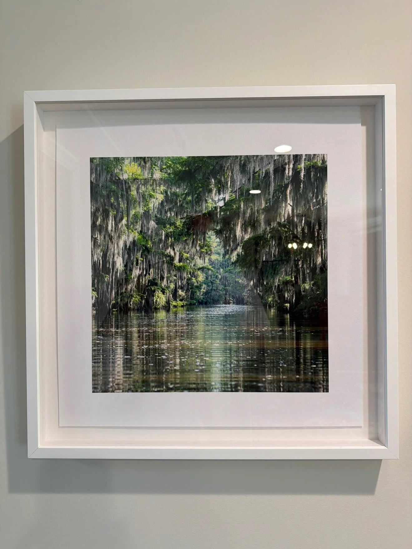 Framed photograph of a cypress bayou, framed print