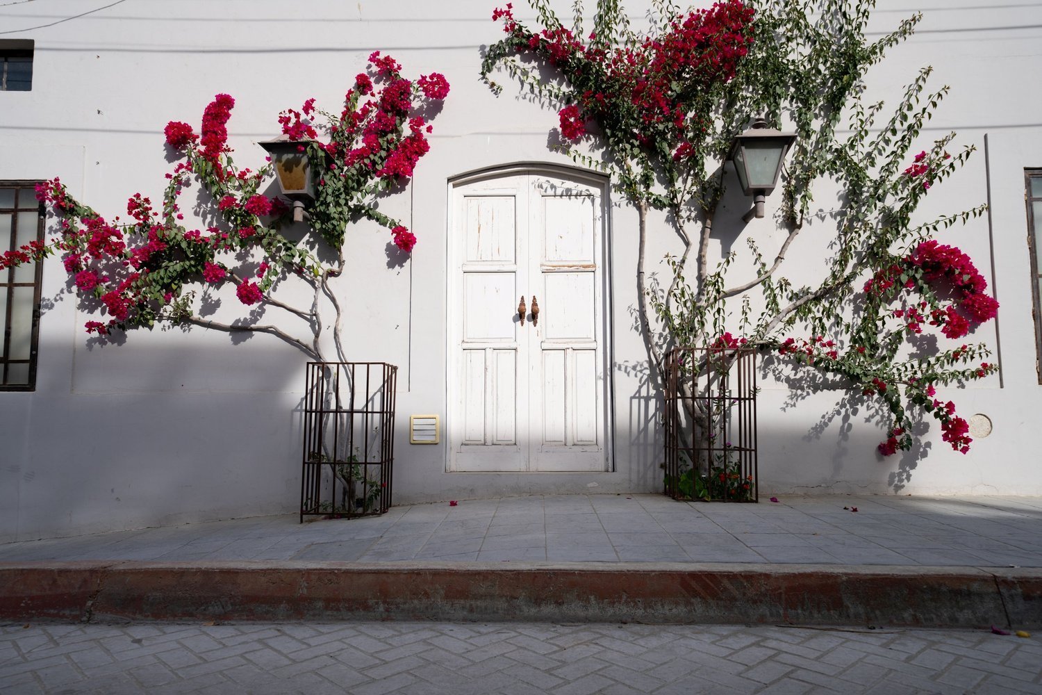 02-white-door-bougainvillea-1-original.jpg