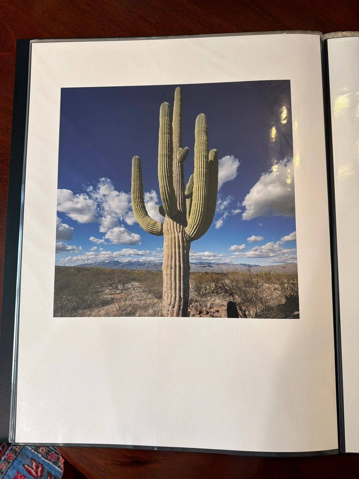 09-saguaro-2-print.jpg