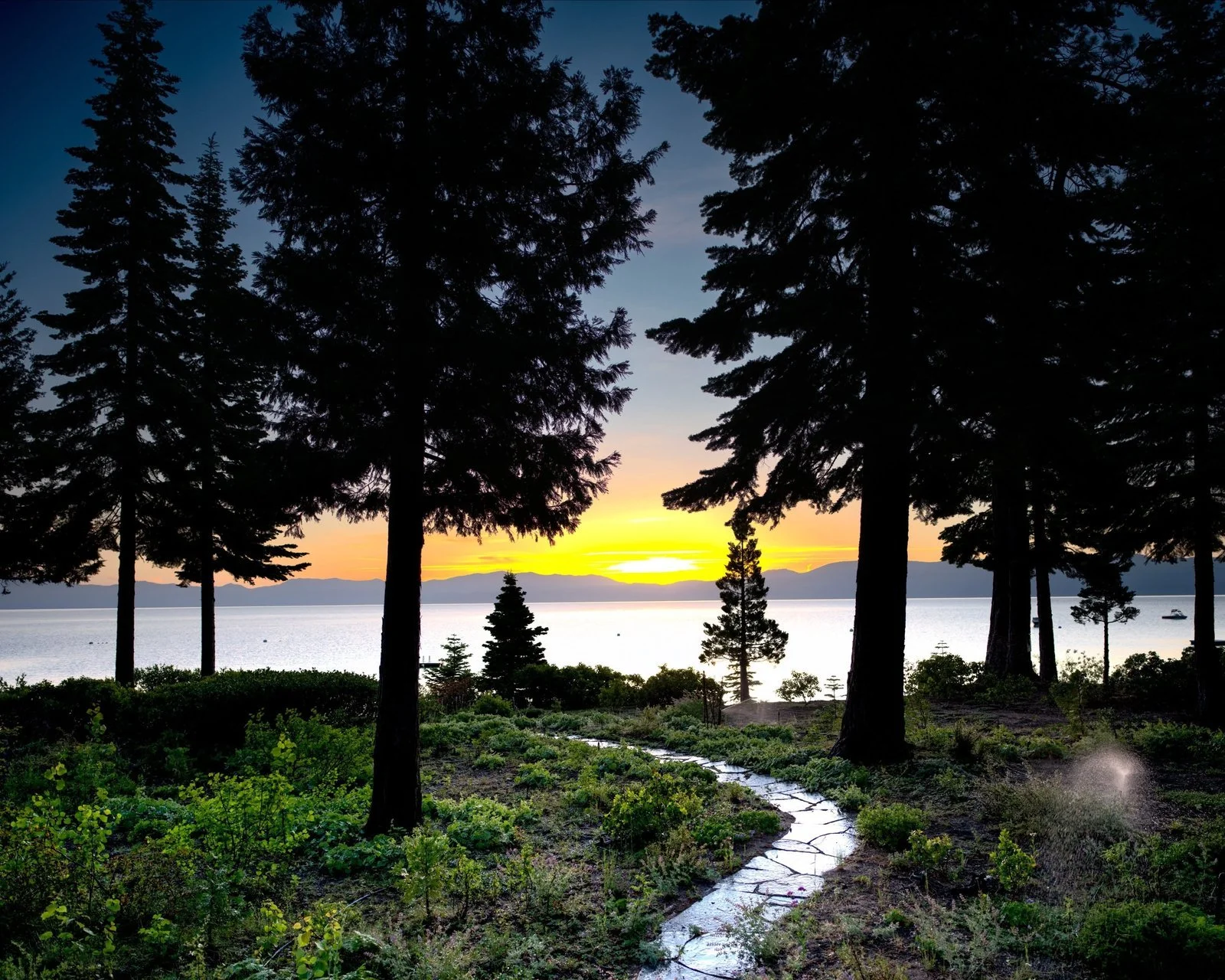 25-sunset-through-pines-1-original.jpg