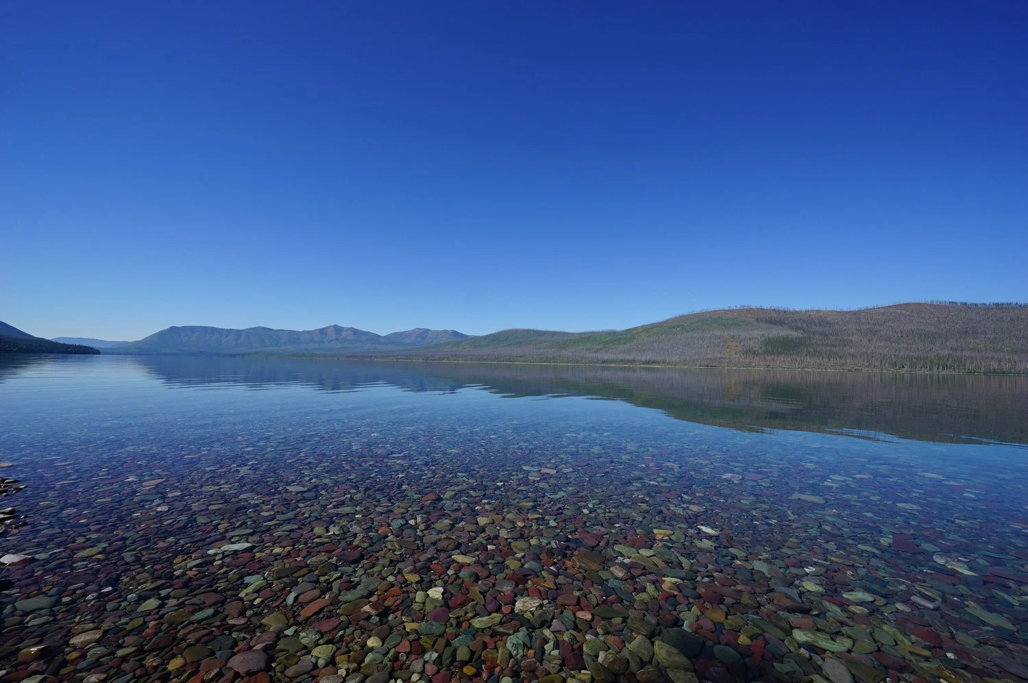 12-pebble-lake-shore-1-original.jpg