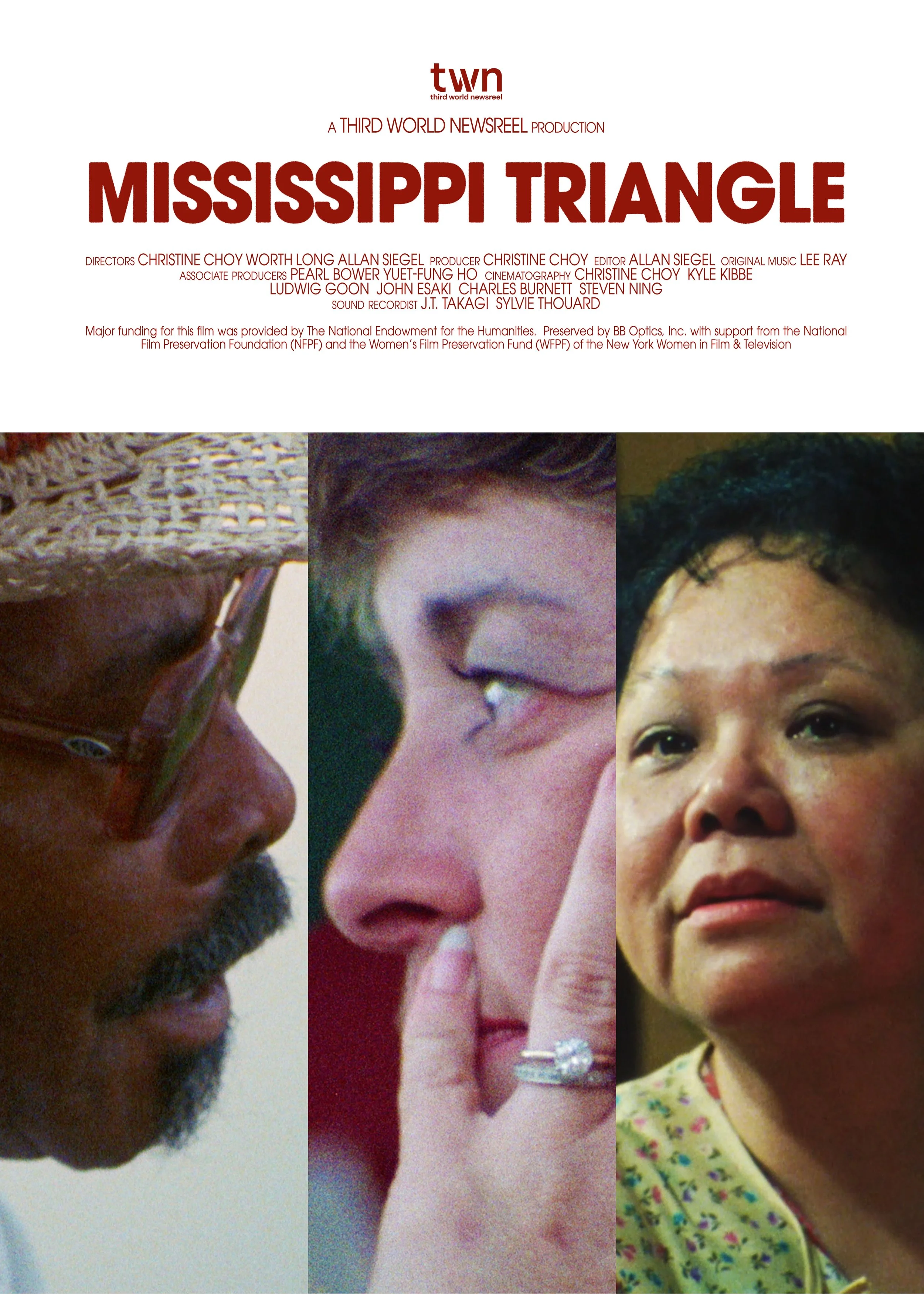 mississippi-triangle-design-11.jpg
