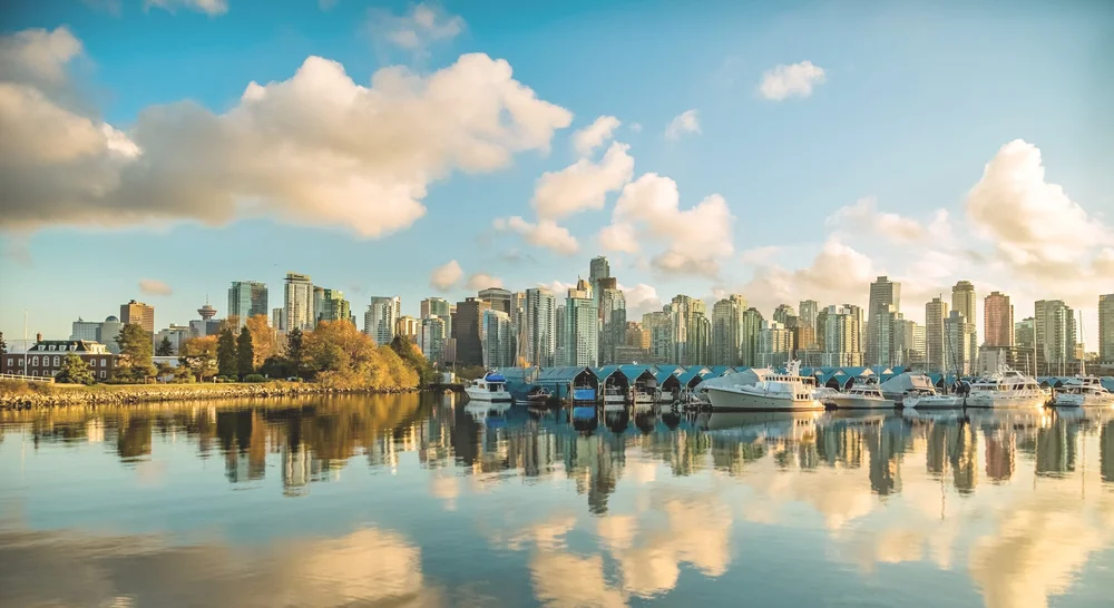 Tree Removal Permit | Tree Cutting Permit — Linden Tree Care