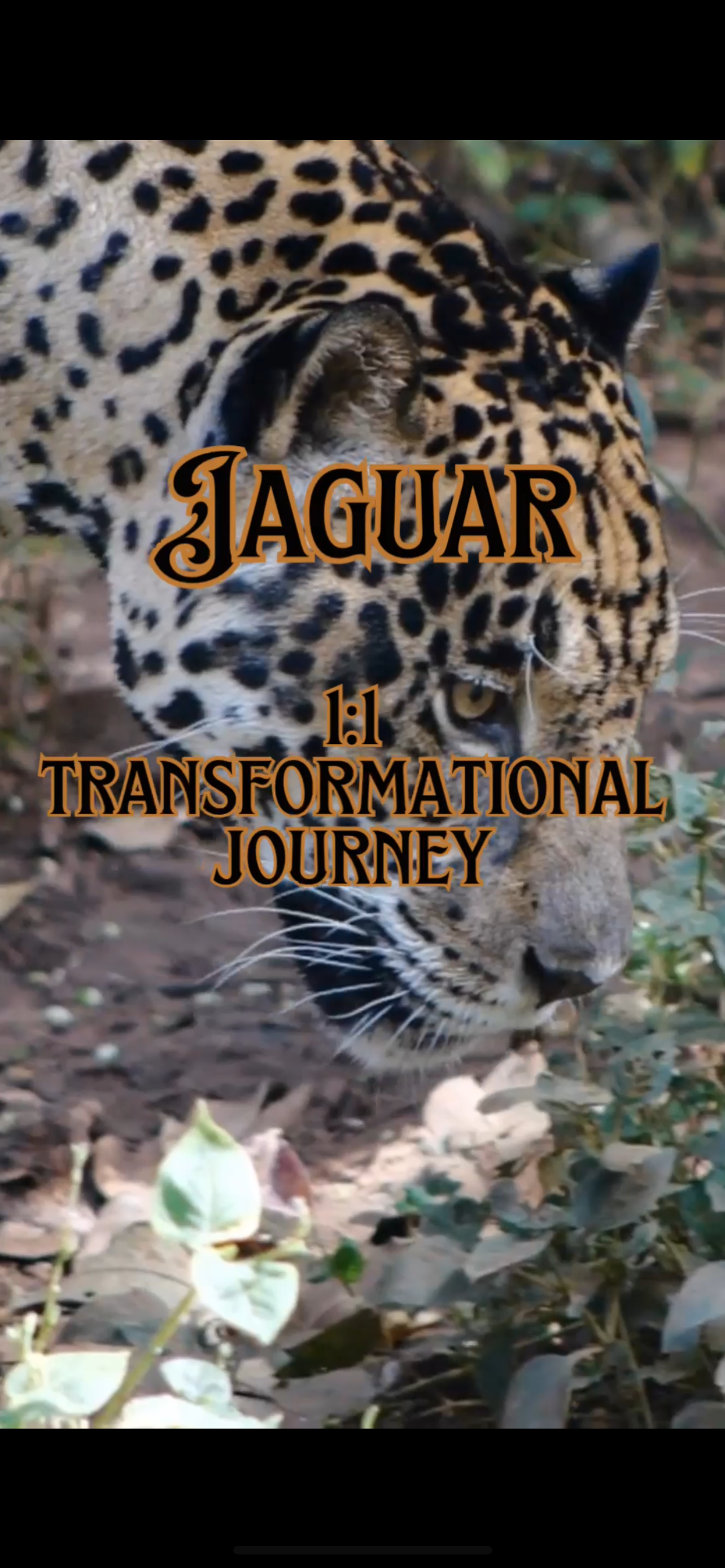 3 Month Nervous System and Subconscious Reprograming JAGUAR