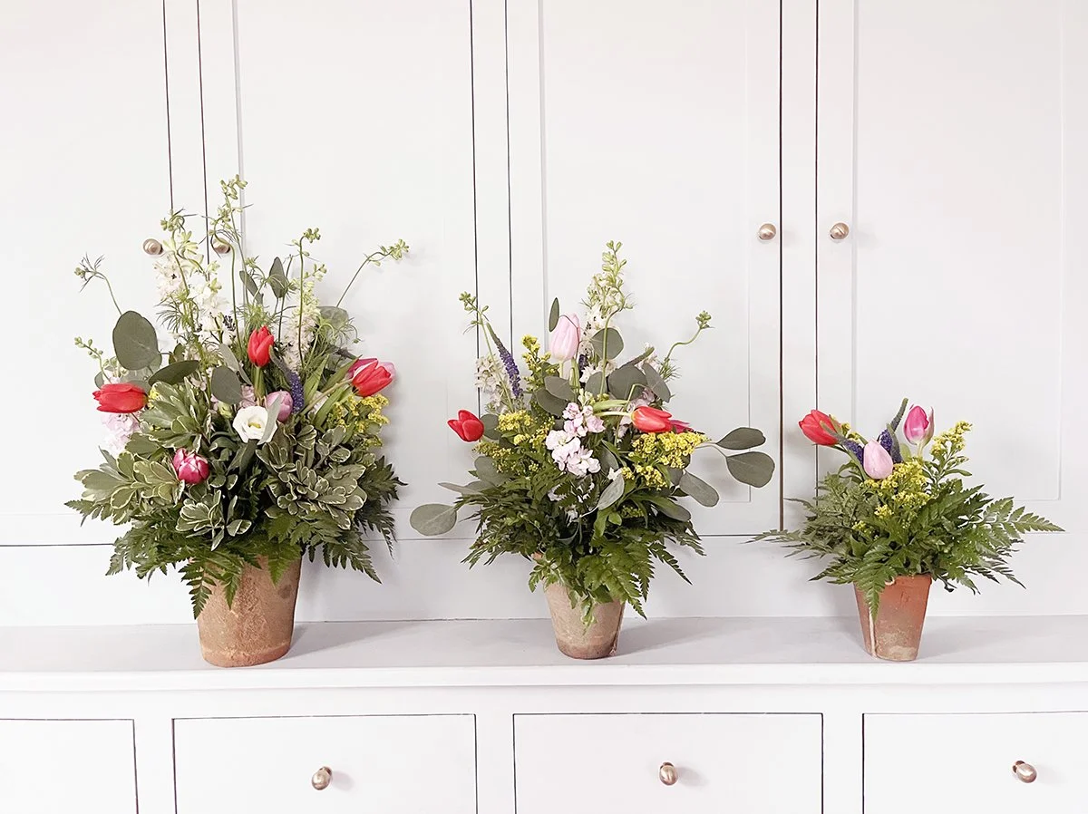 Parisian Terracotta Collection