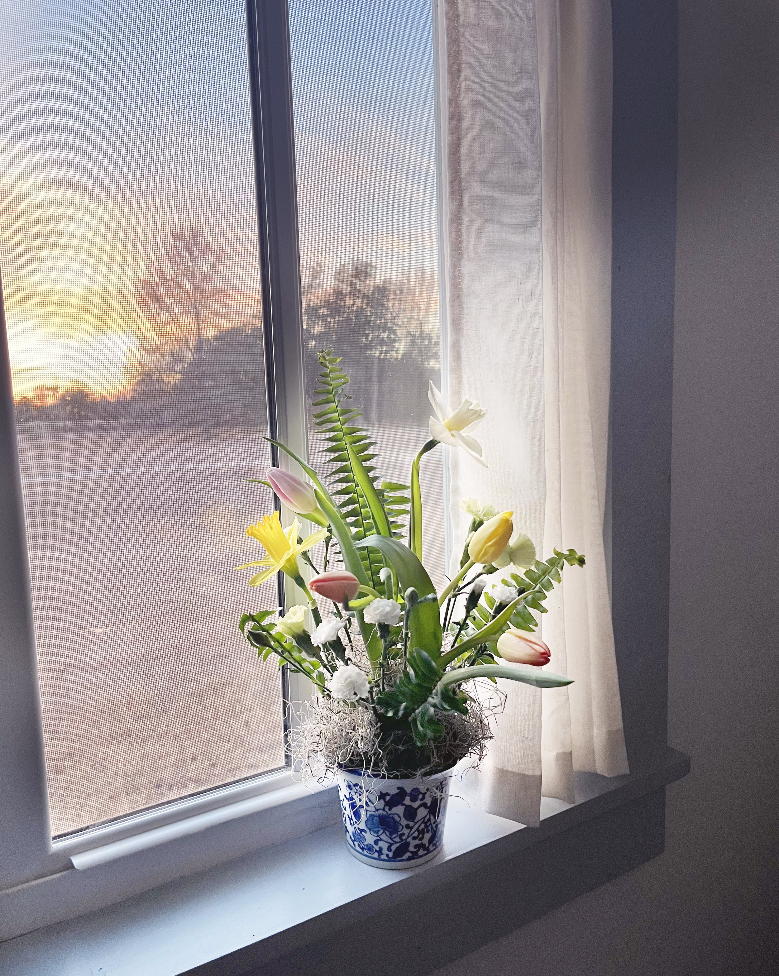 IMG_5429_SM TRAD CHIN_WINDOW.jpg