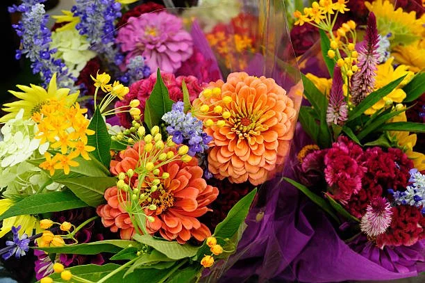 istockphoto-182848692-612x612.jpg