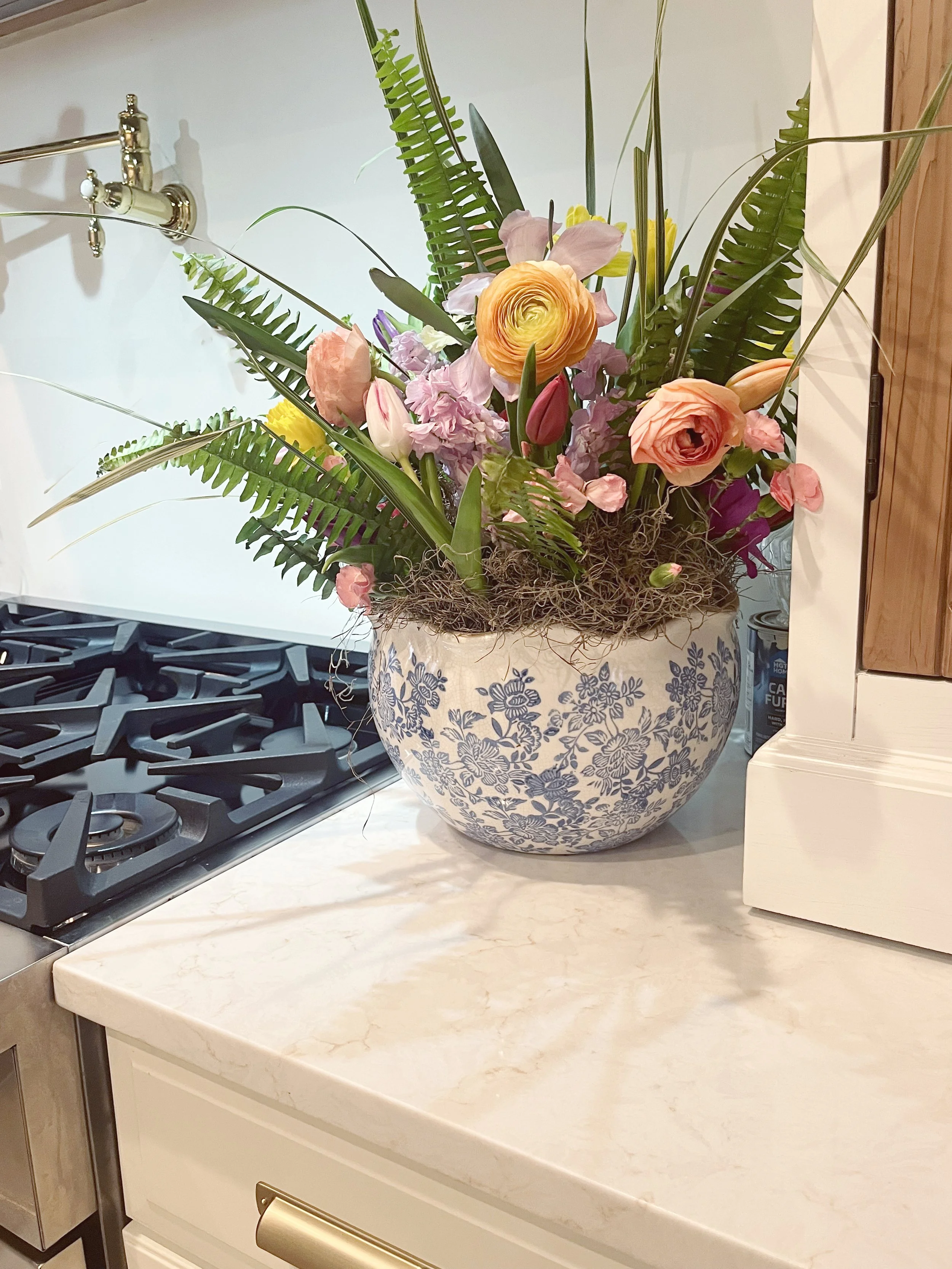 IMG_5402_Lg Blue&White Chin.jpg