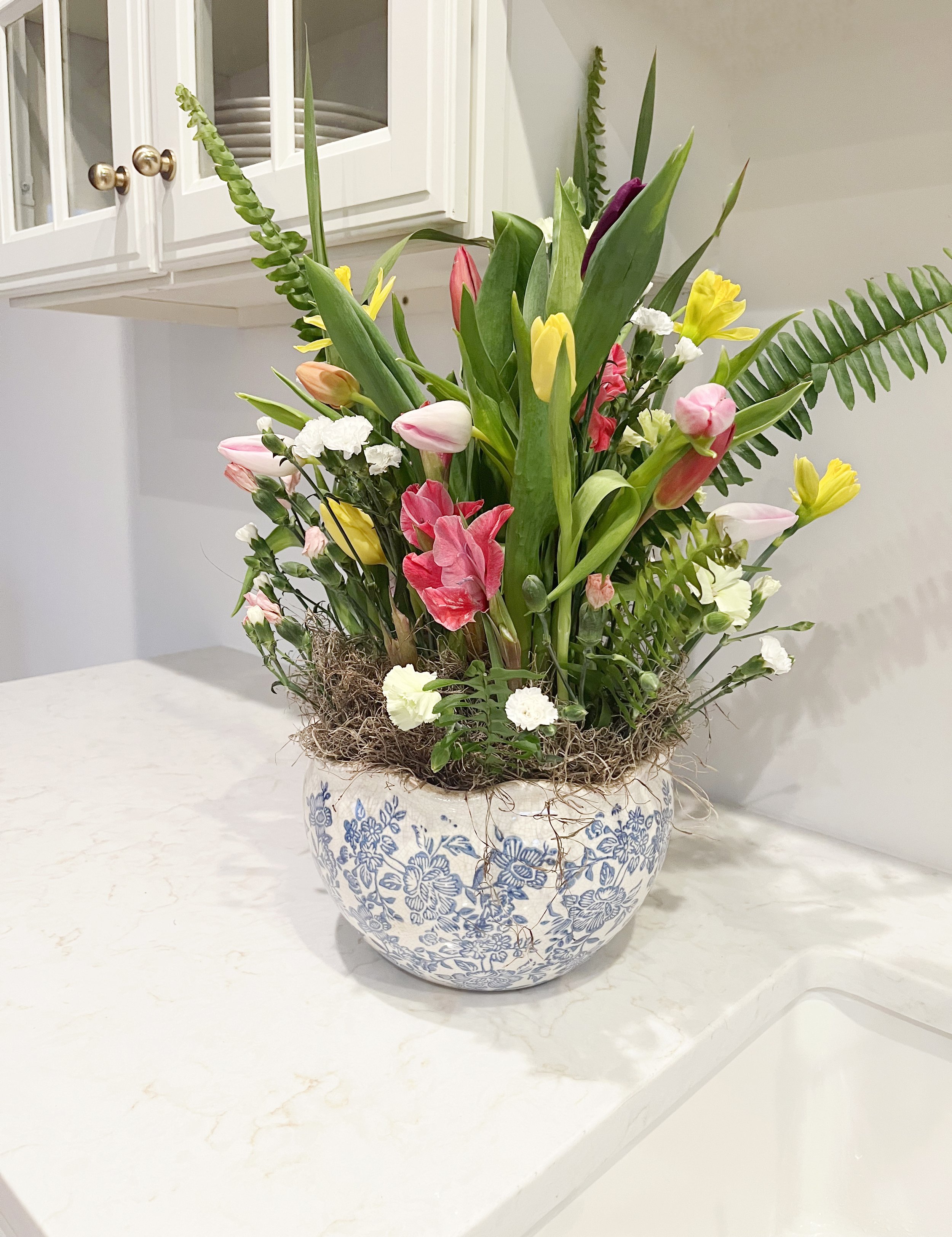 IMG_5399_MED TUSCAN CHIN.jpg