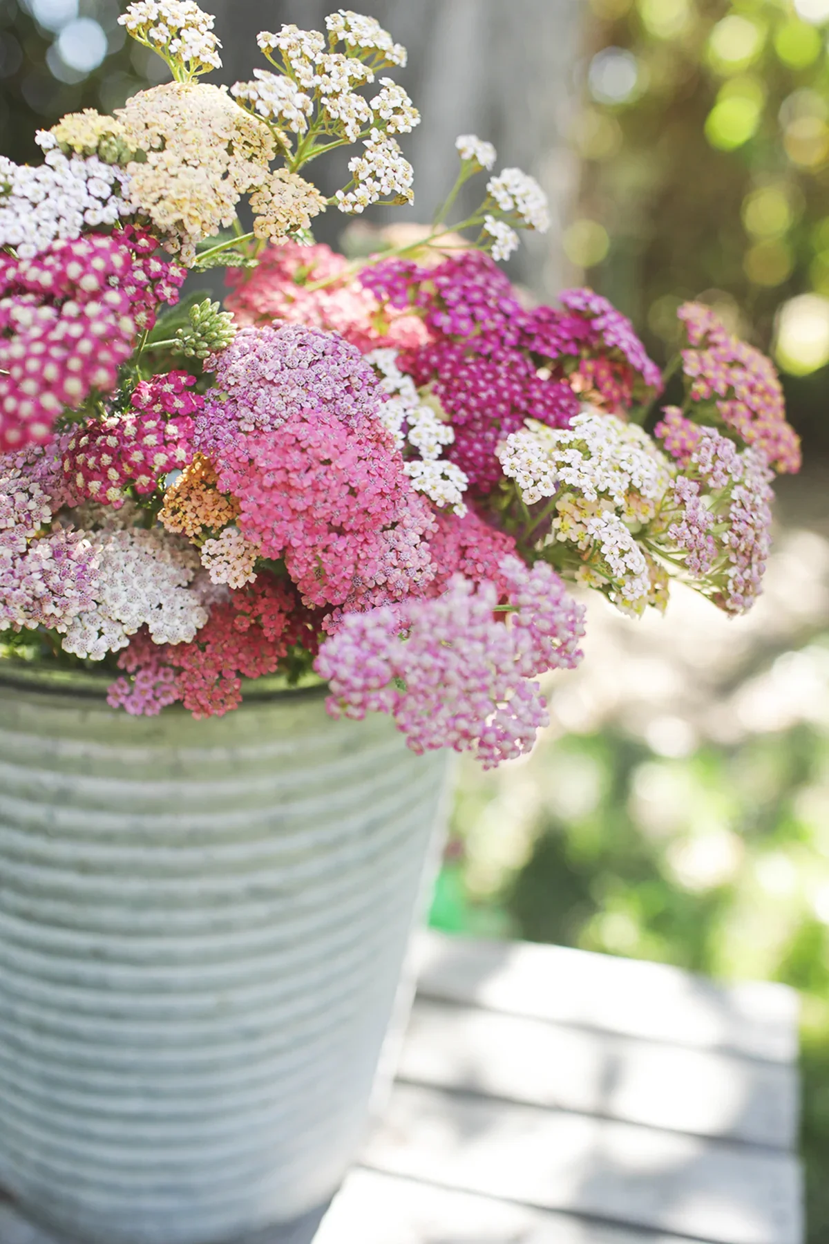 0R8A7852.jpg.webp