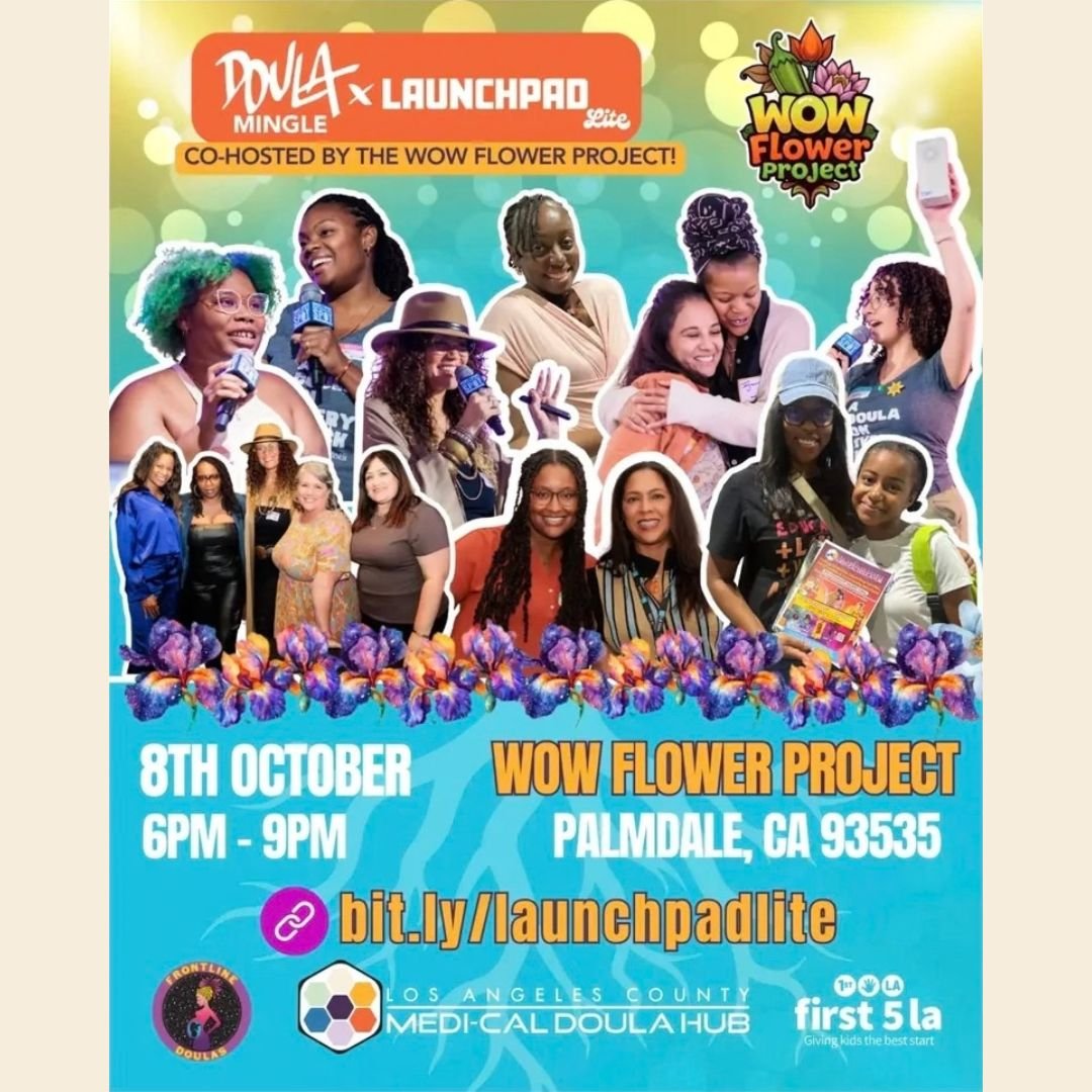 Doula Mingle Launchpad Lite