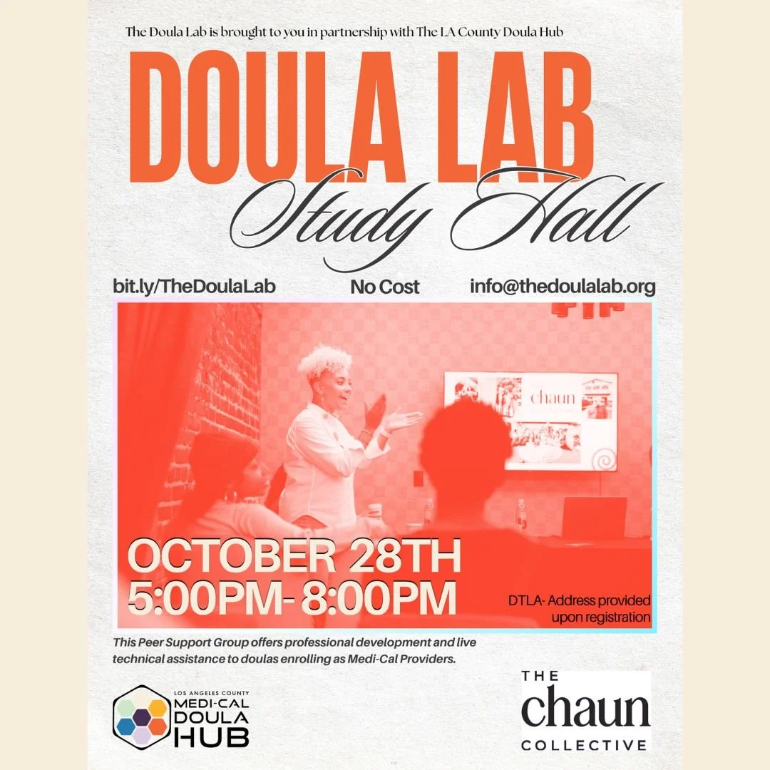 The Doula Lab - Study Hall