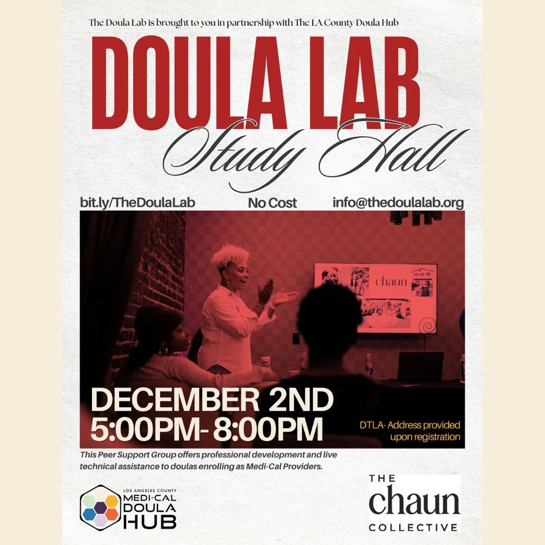 The Doula Lab - Study Hall
